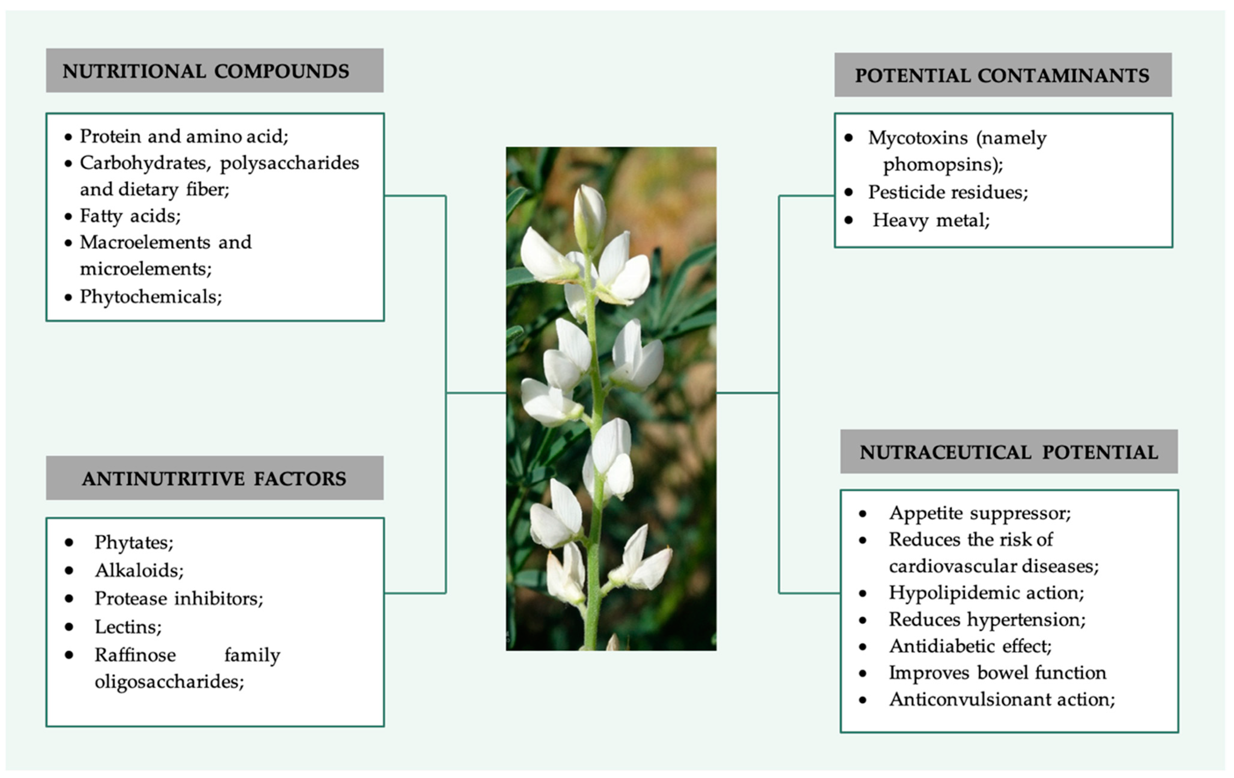 Molecules 27 08557 g001 Molecules 27 08557 g001
