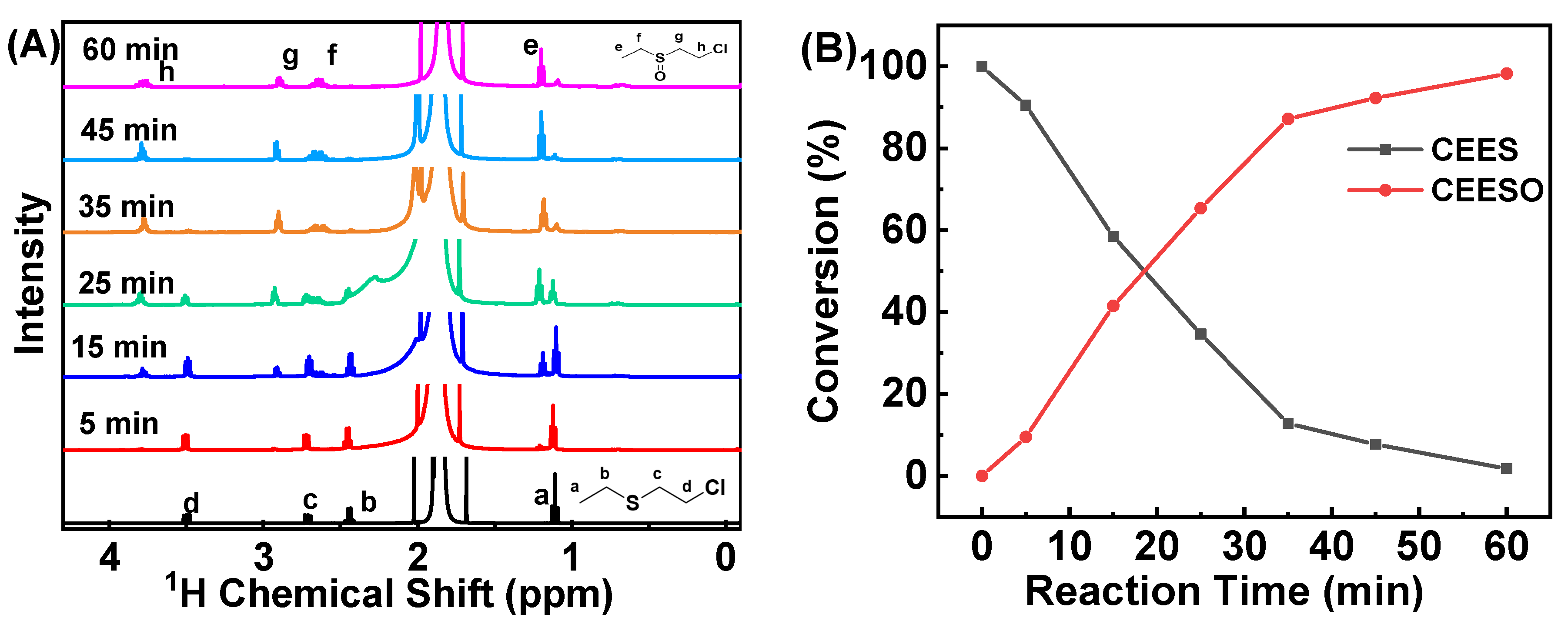 Molecules 27 08560 g007