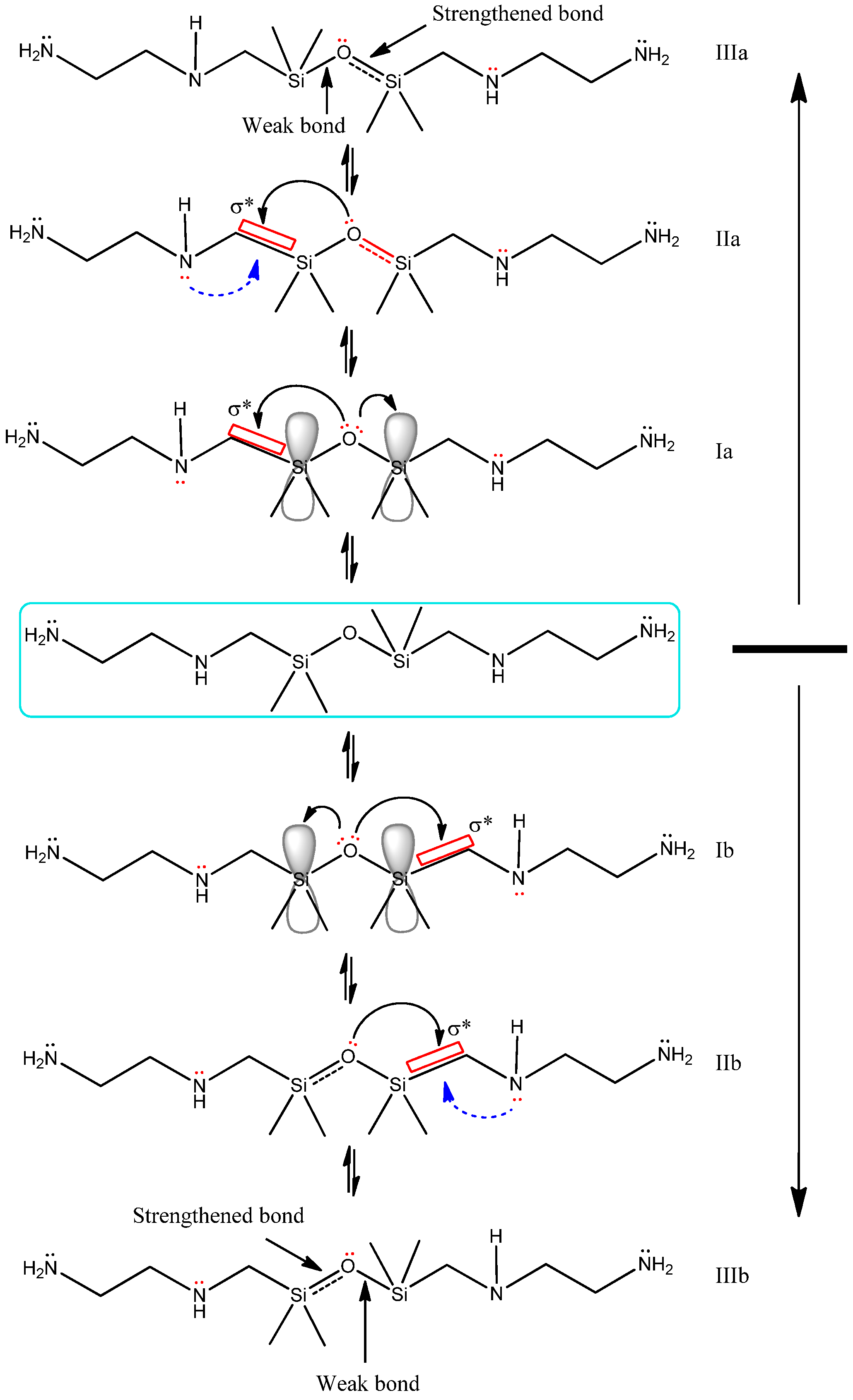 Molecules 27 08563 sch010