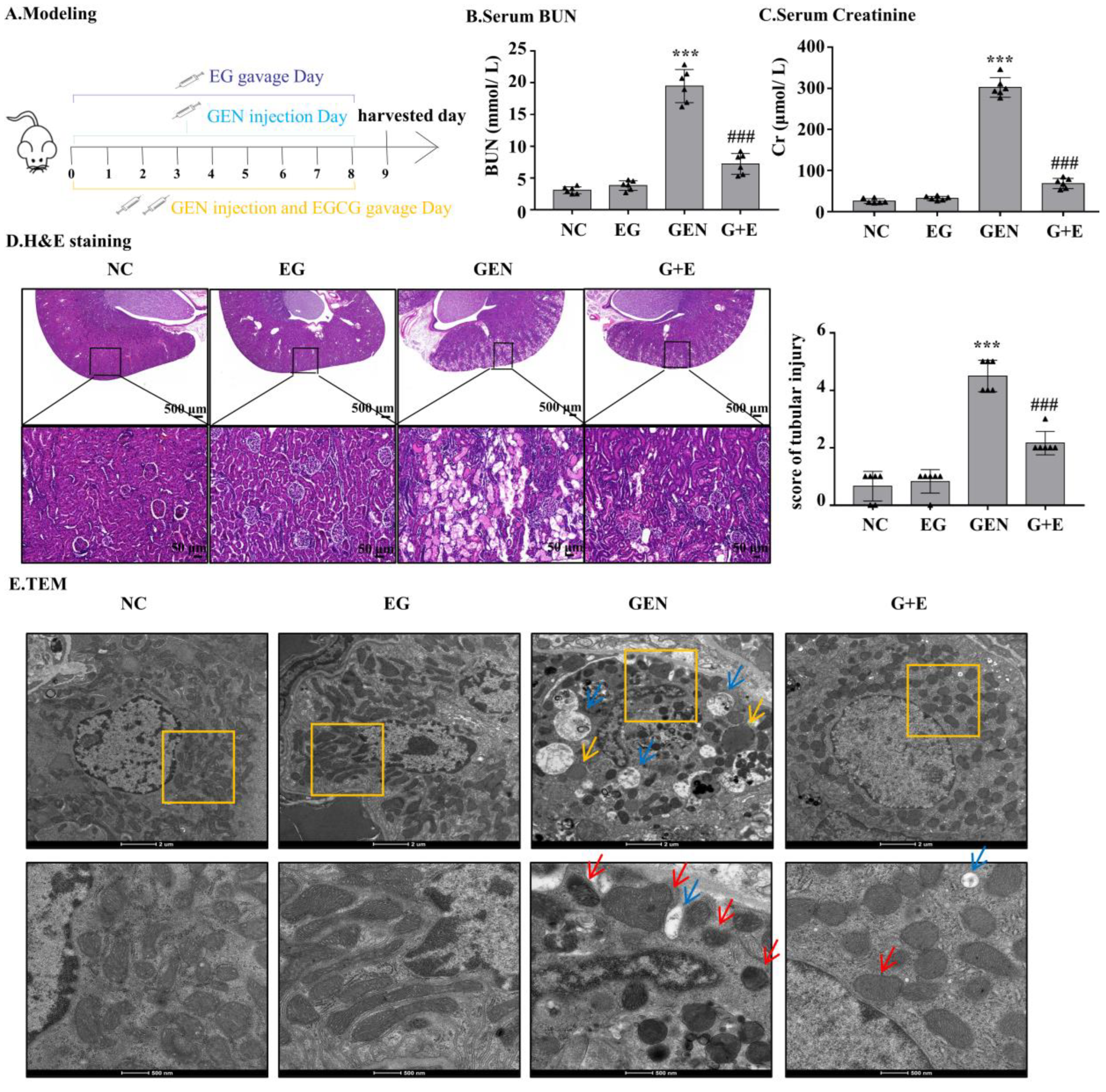 Molecules 27 08564 g001