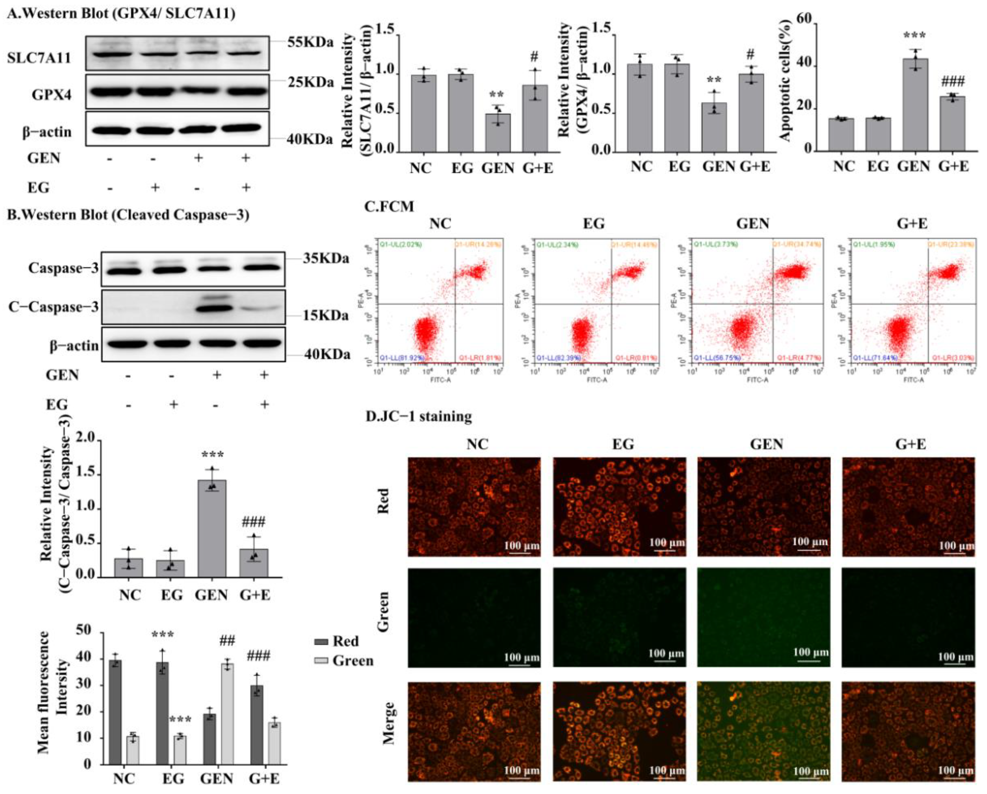 Molecules 27 08564 g004