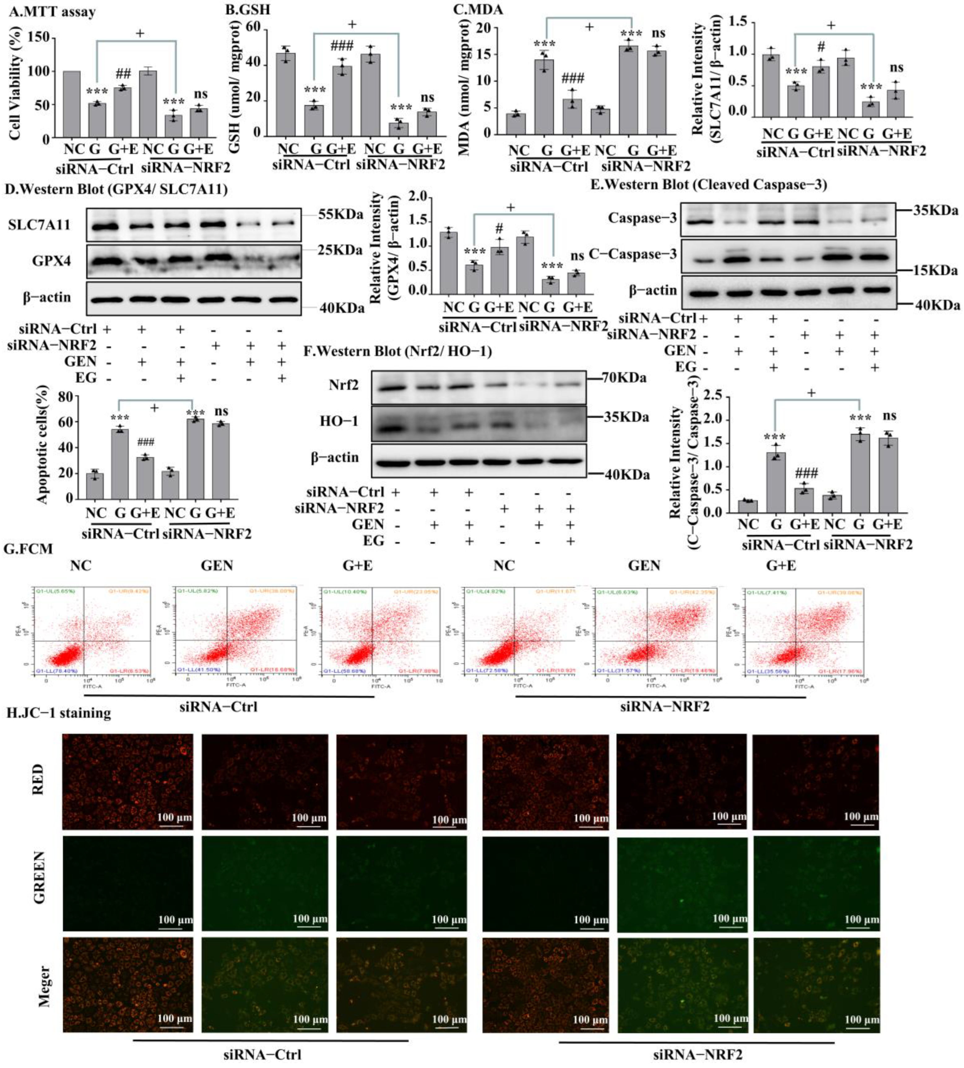 Molecules 27 08564 g006