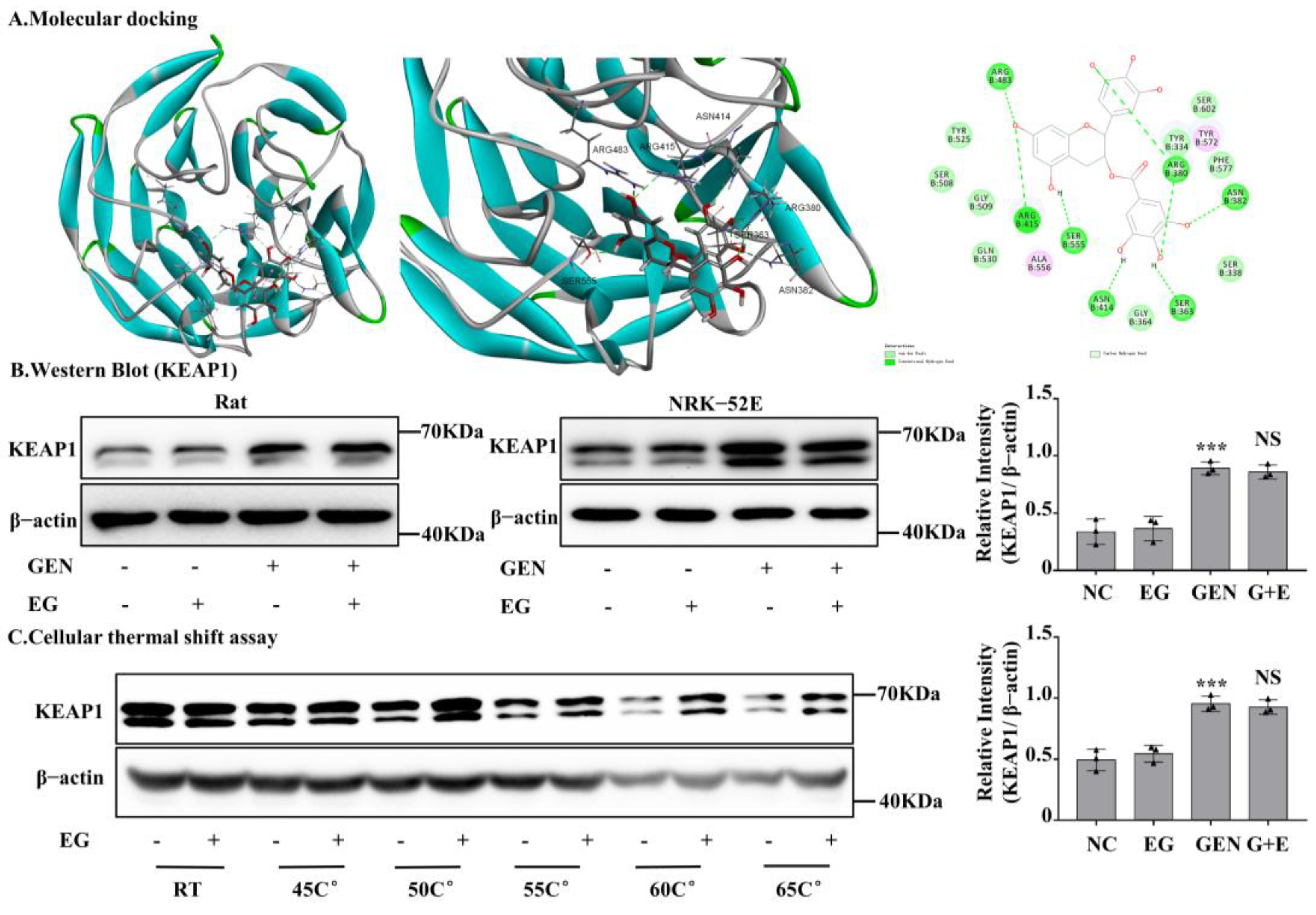 Molecules 27 08564 g007