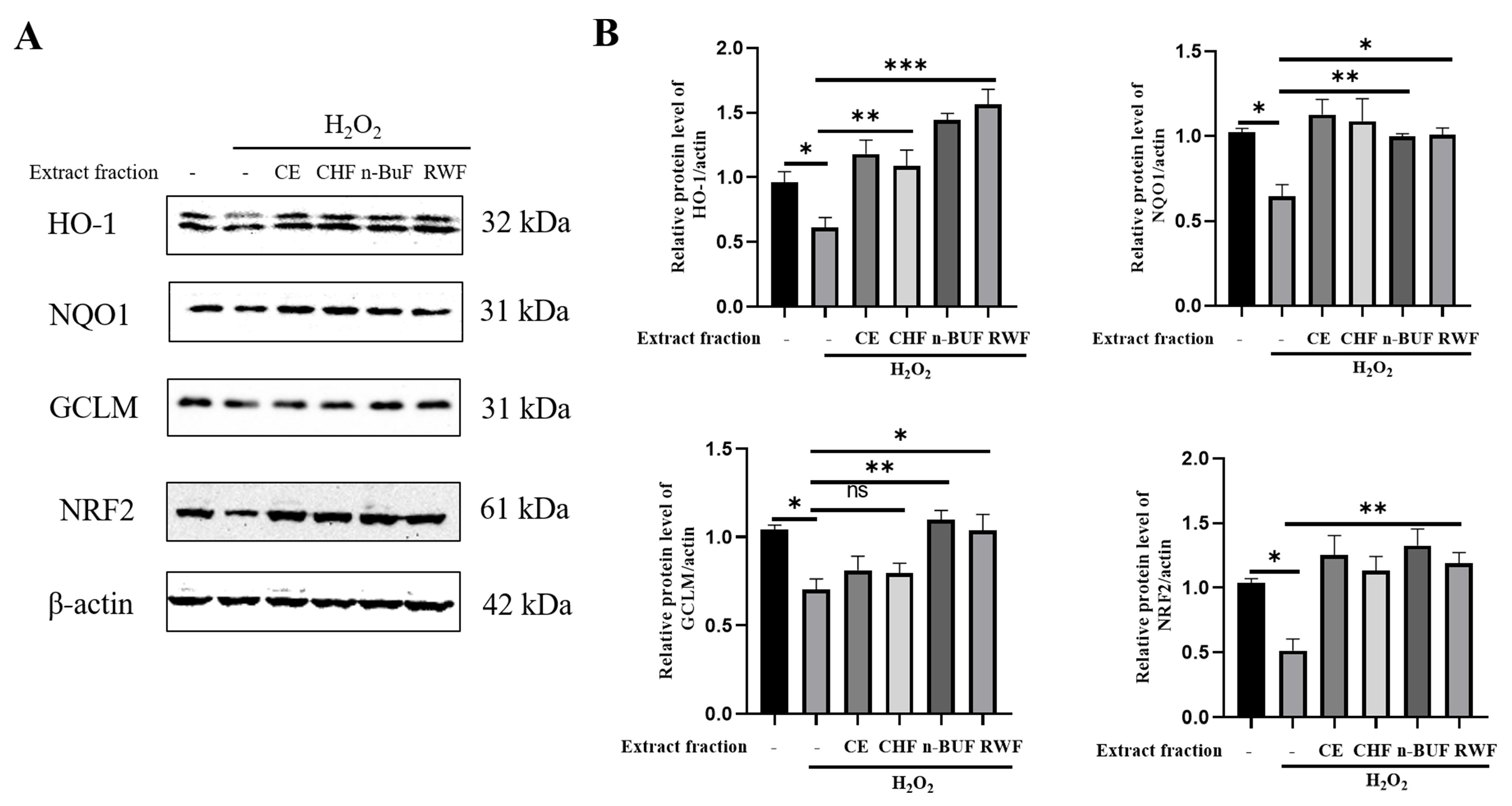 Molecules 27 08568 g002