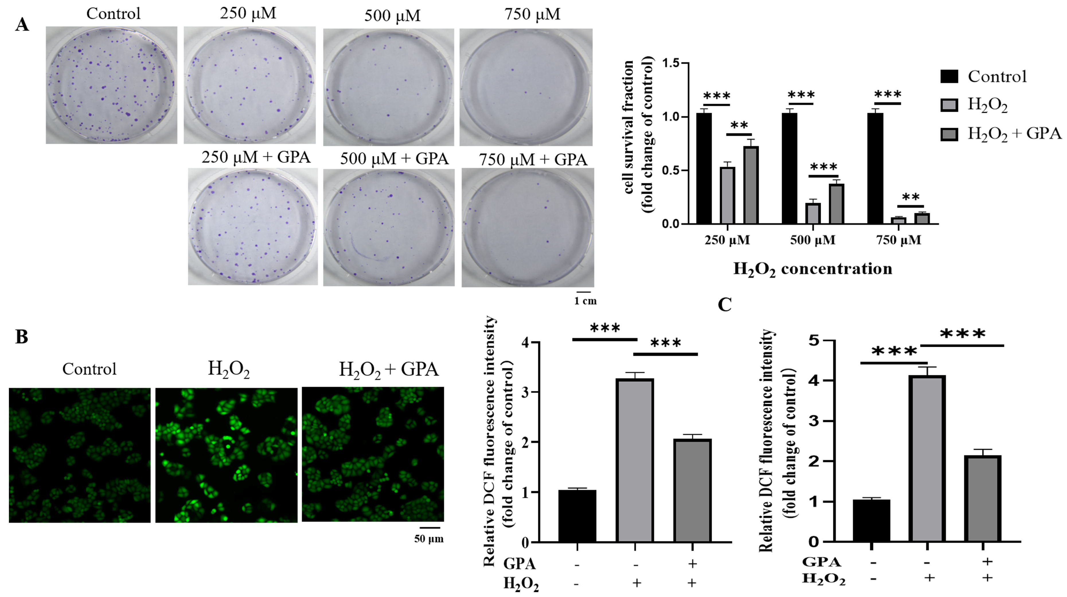 Molecules 27 08568 g004a