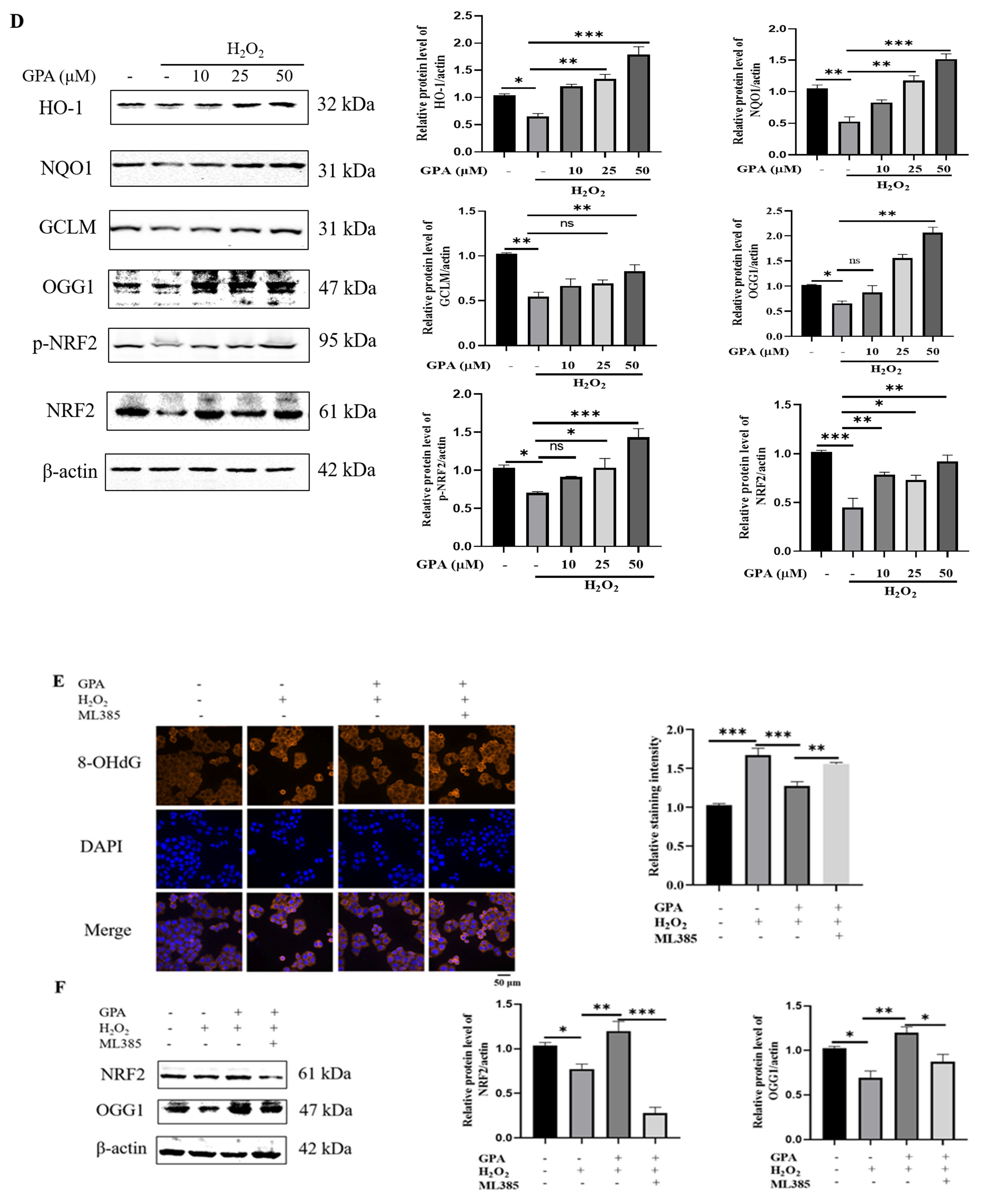 Molecules 27 08568 g004b