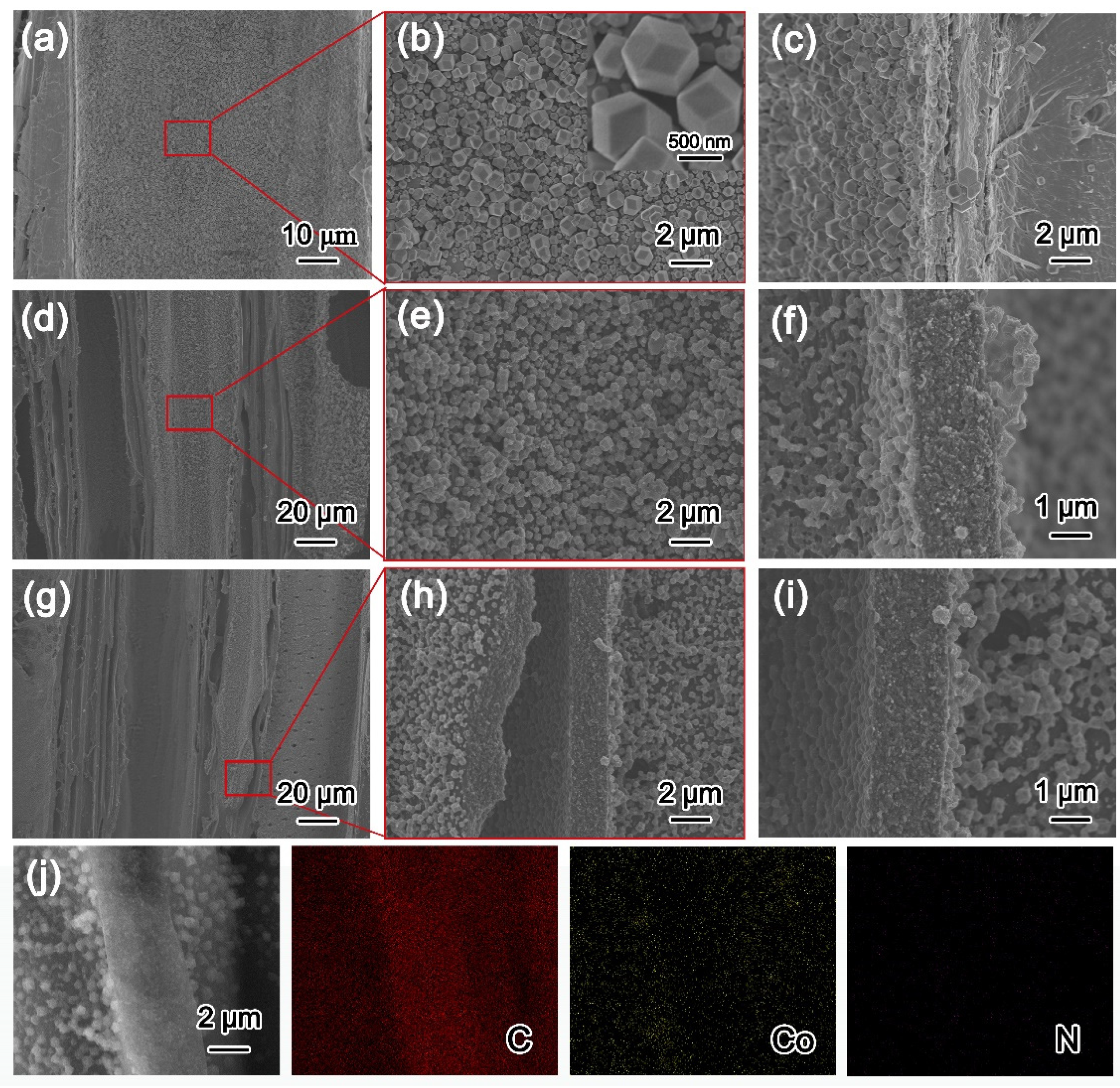 Molecules 27 08572 g002