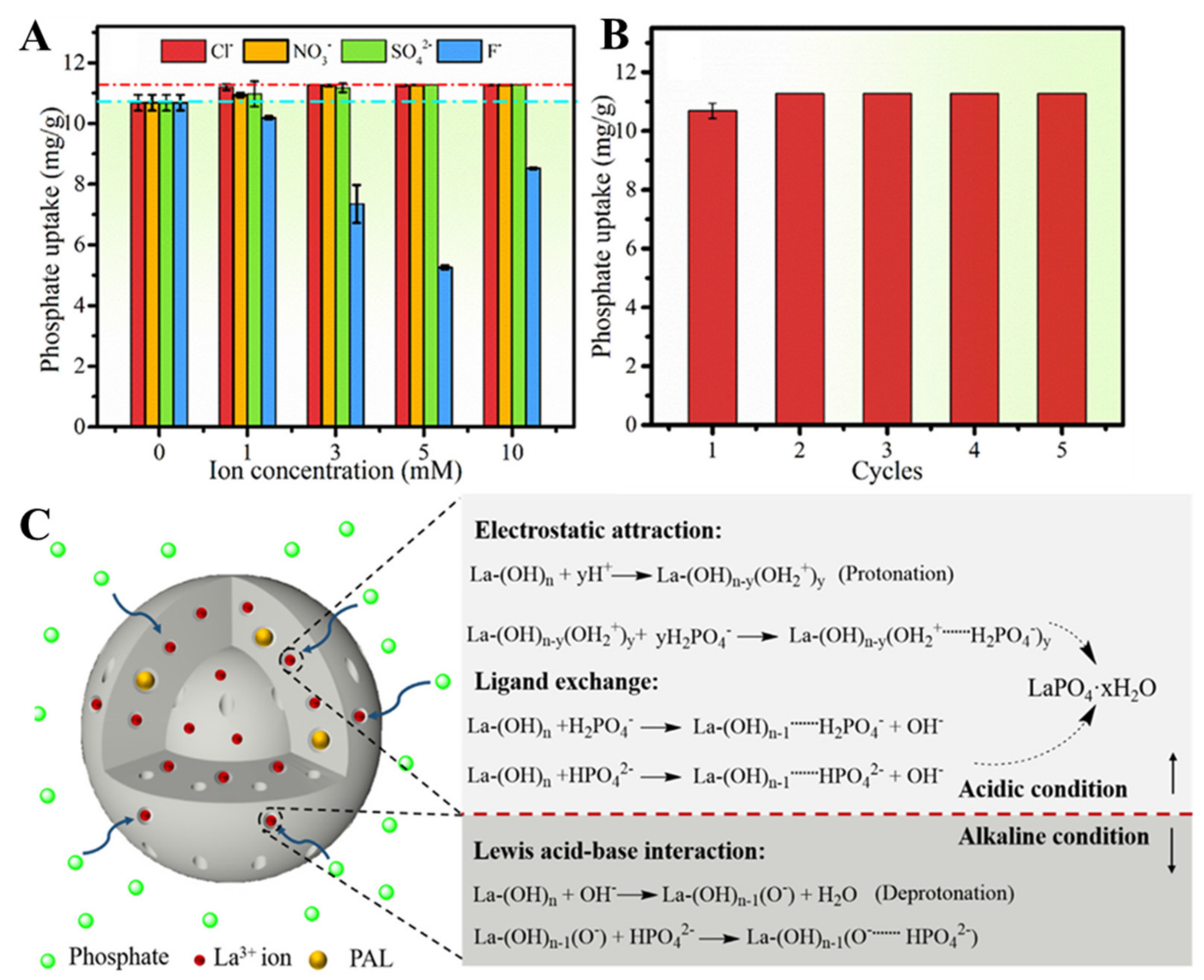 Molecules 27 08574 g012 Molecules 27 08574 g012