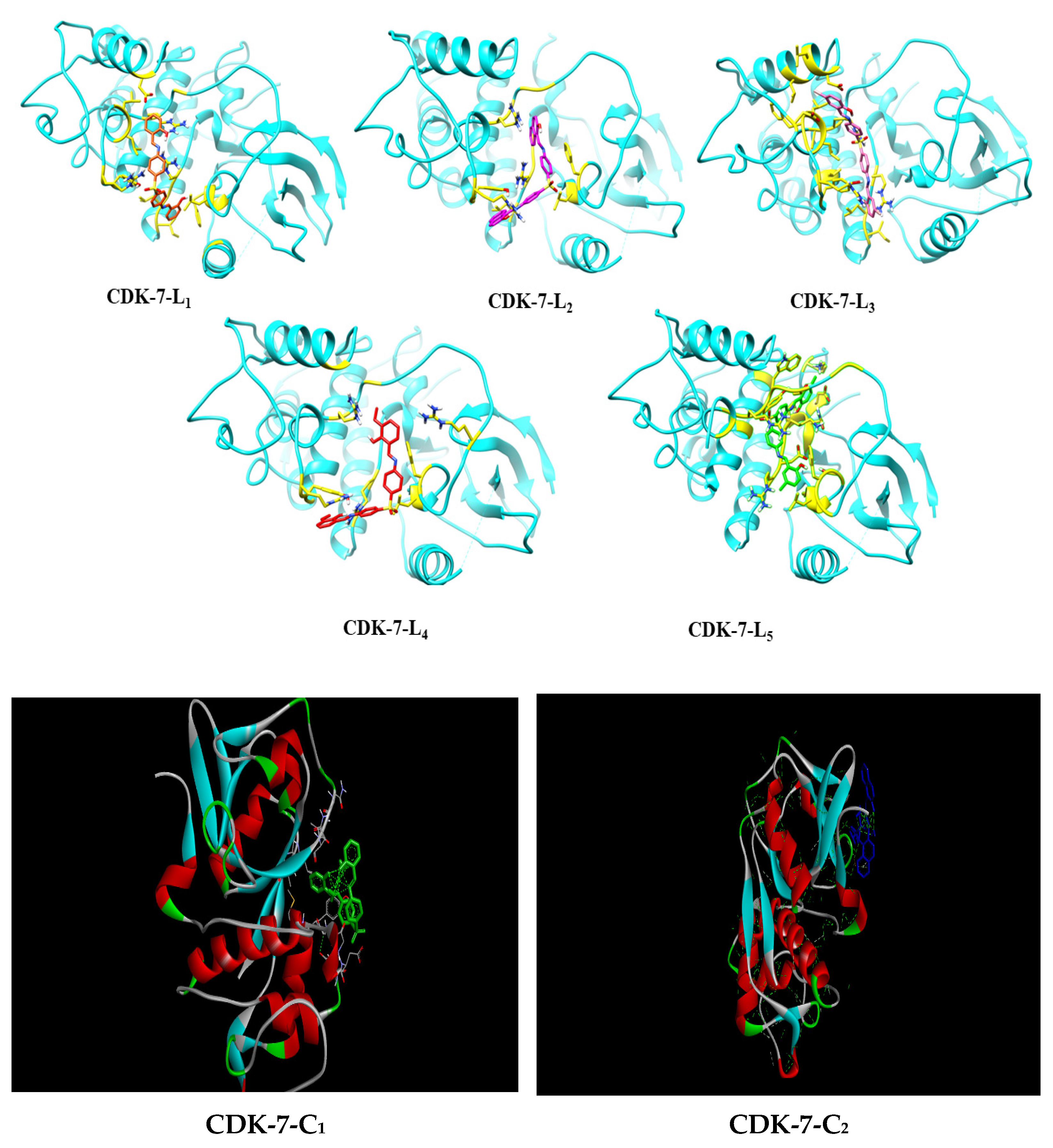 Molecules 27 08576 g006