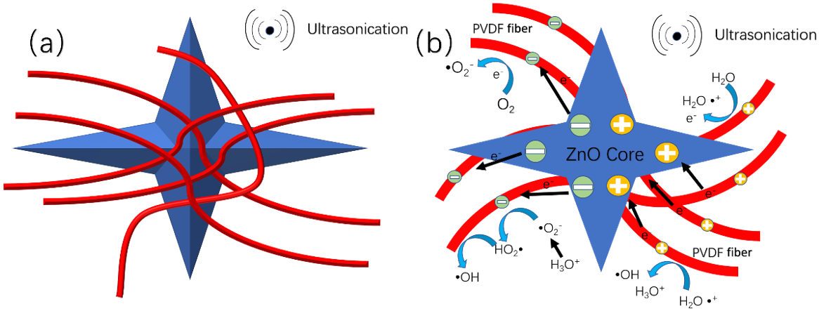 Molecules 27 08579 g007