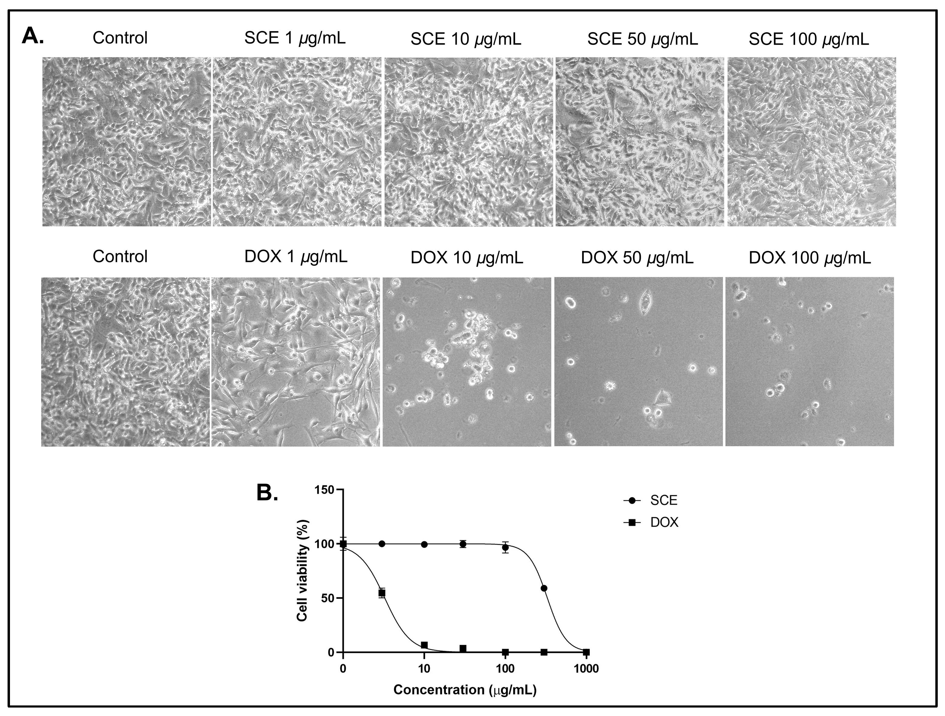 Molecules 27 08585 g001