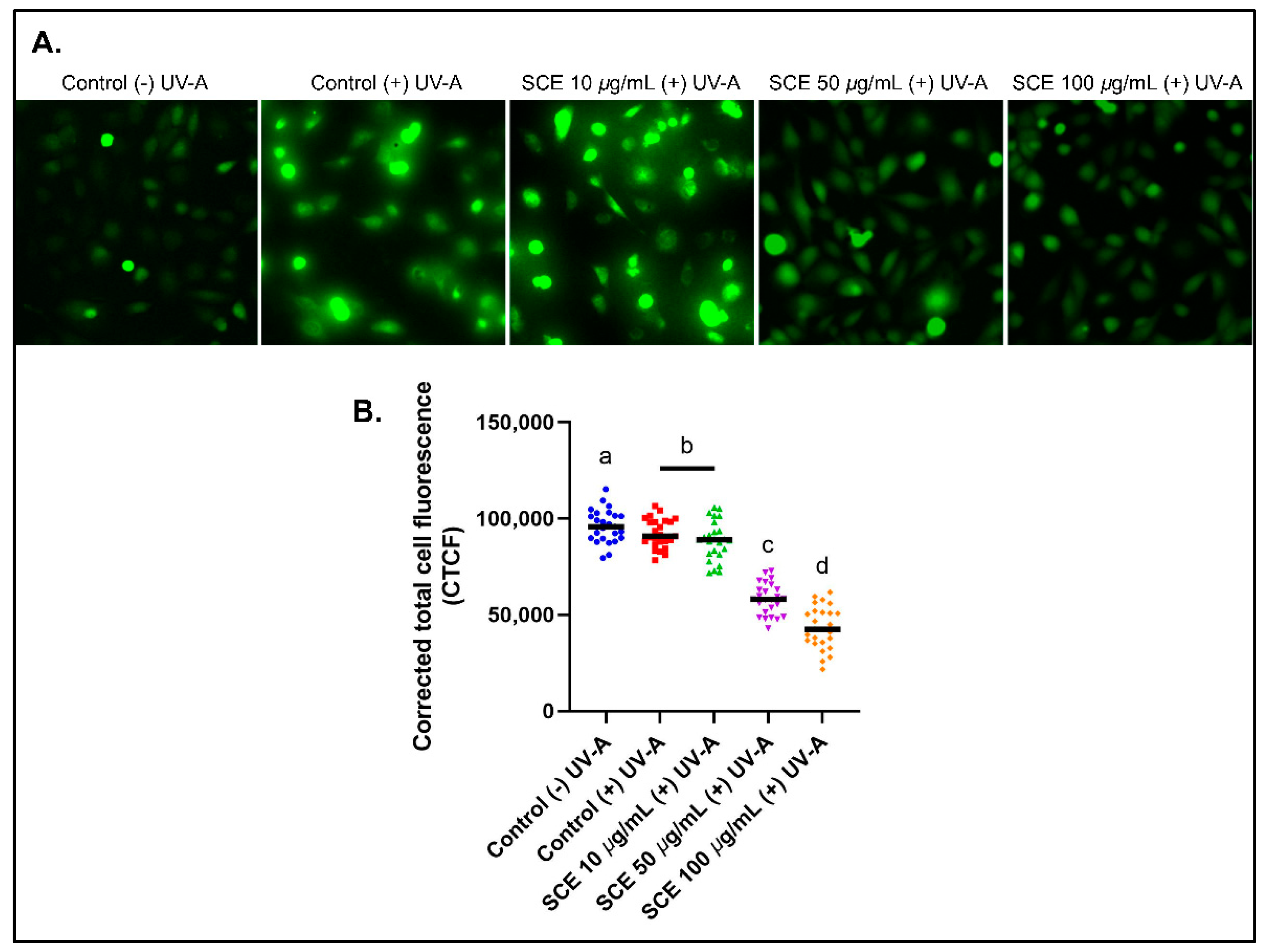 Molecules 27 08585 g002