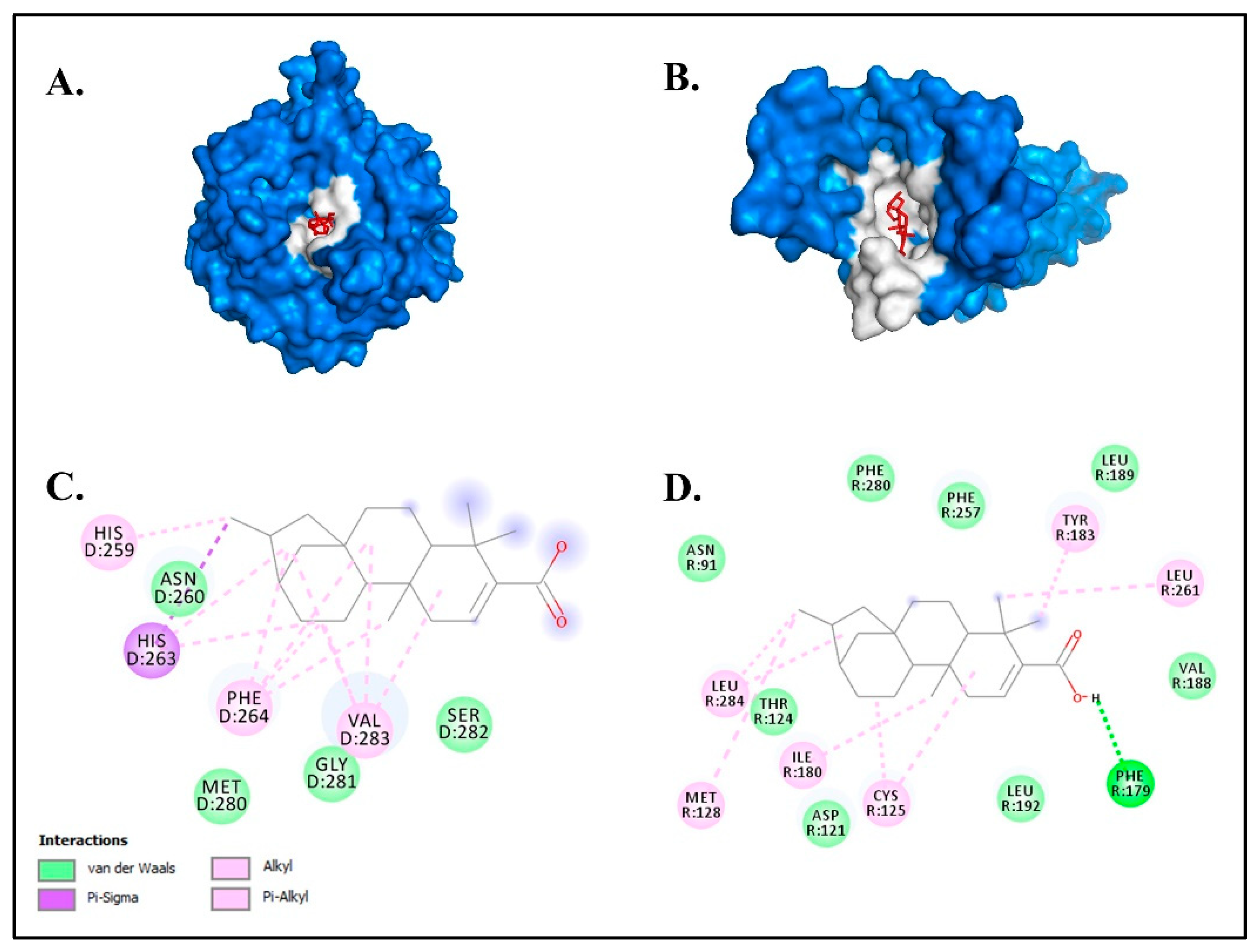 Molecules 27 08585 g004