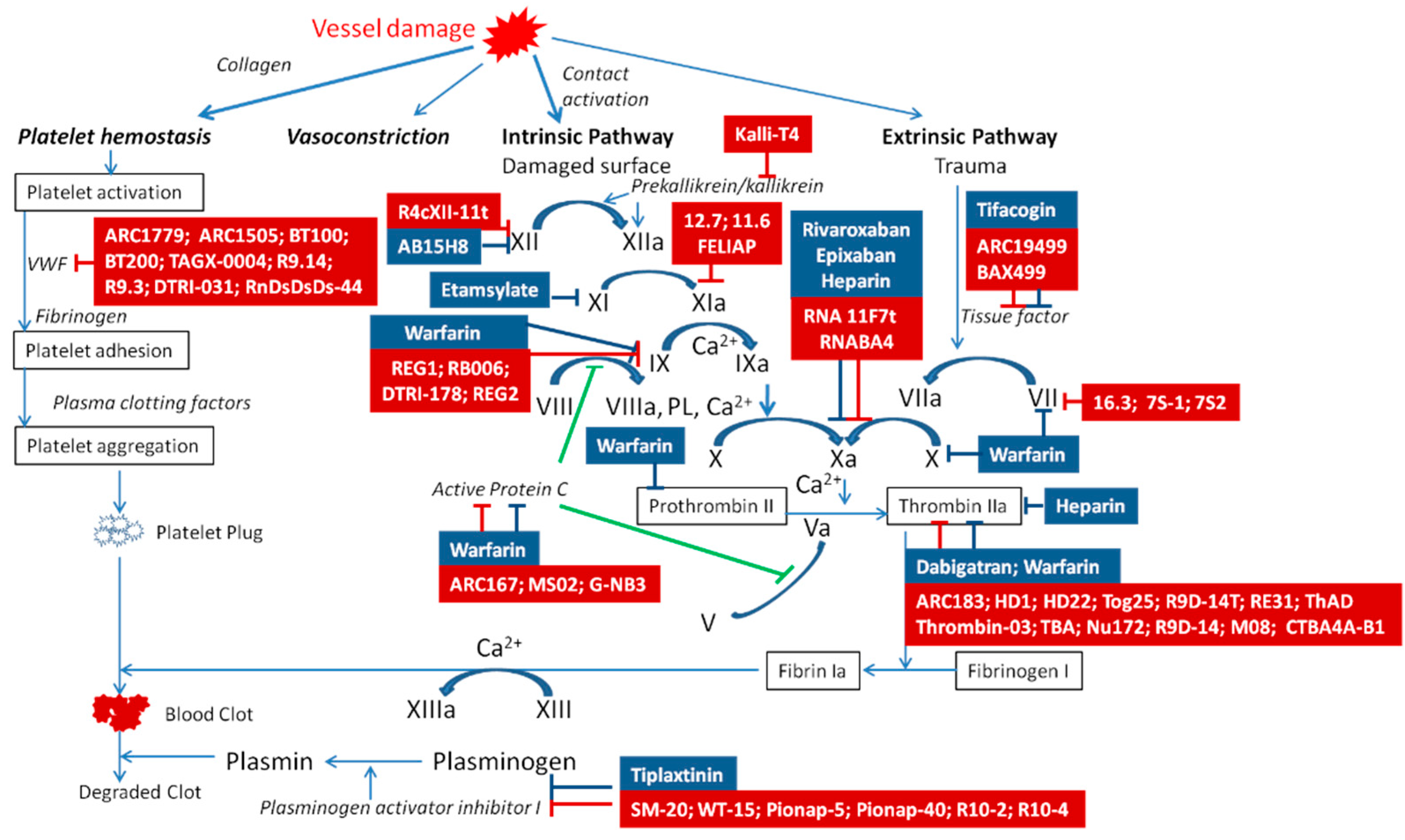 Molecules 27 08593 g001