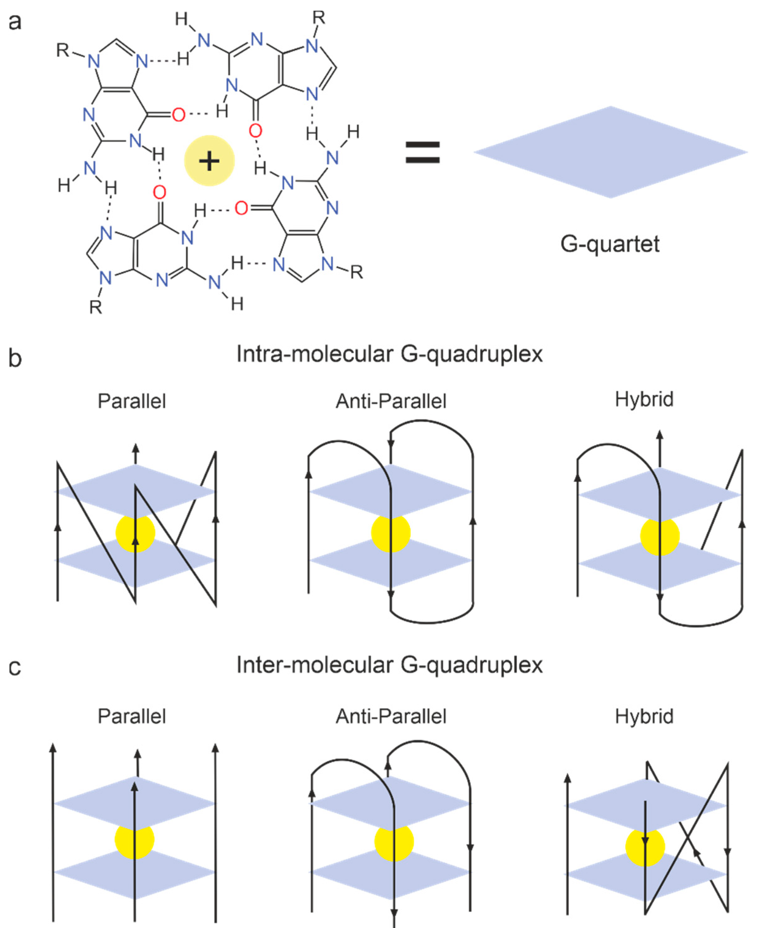 Molecules 27 08593 g003