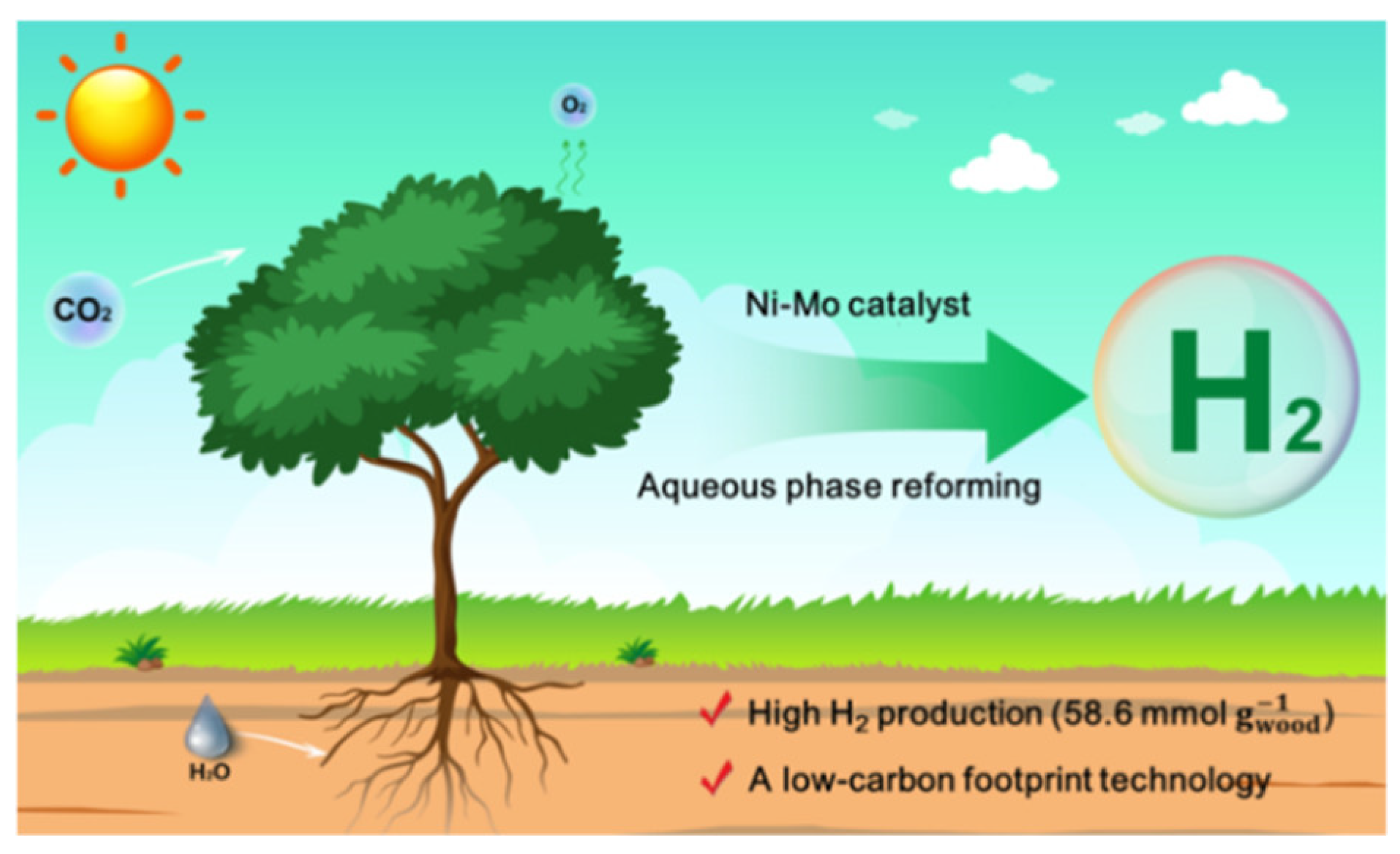 Molecules 27 08594 g001 Molecules 27 08594 g001