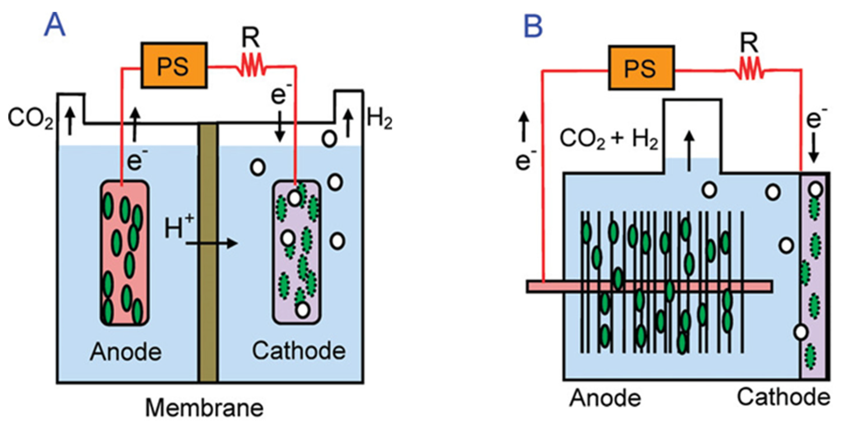 Molecules 27 08594 g002 Molecules 27 08594 g002