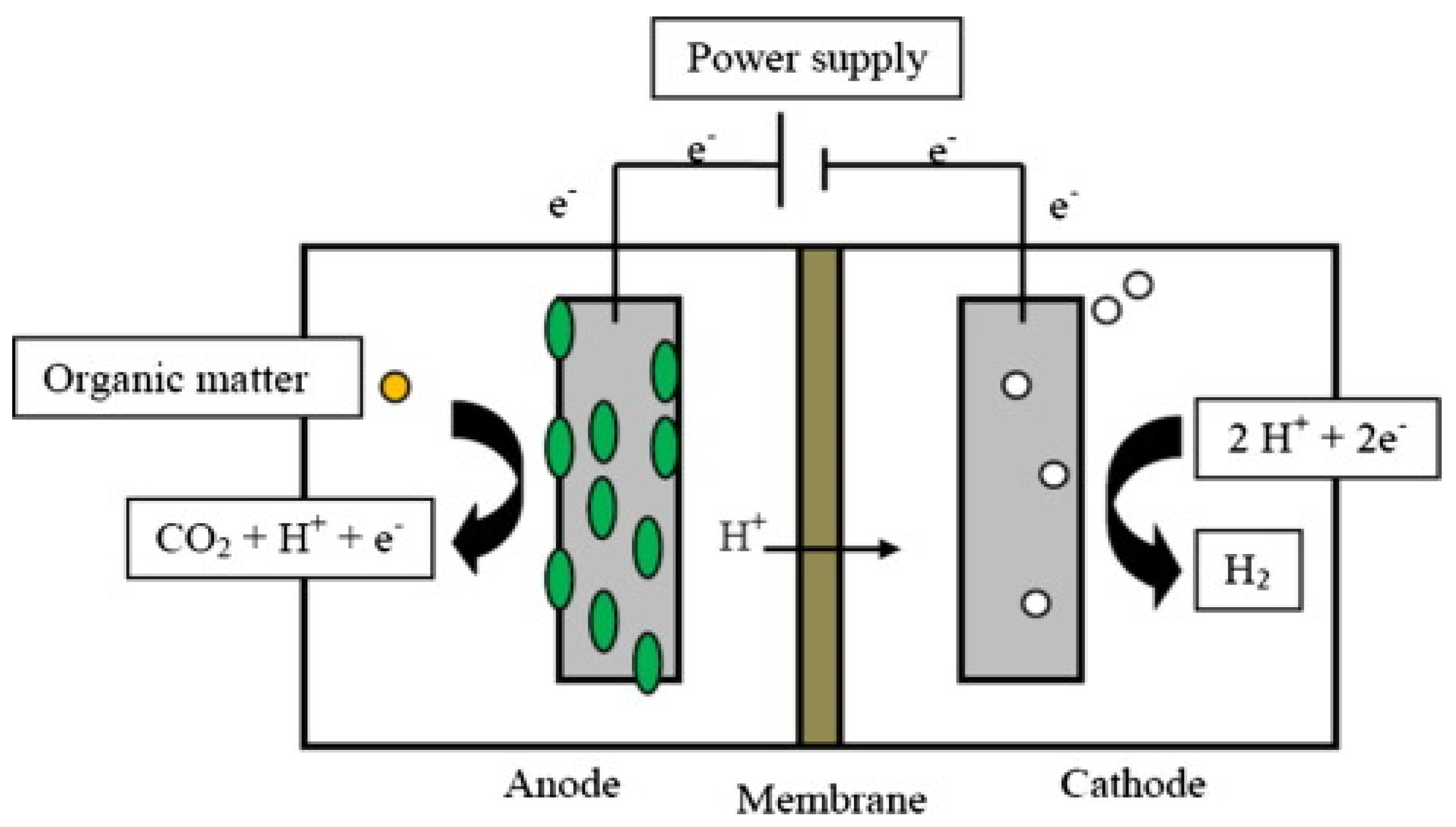 Molecules 27 08594 g003 Molecules 27 08594 g003