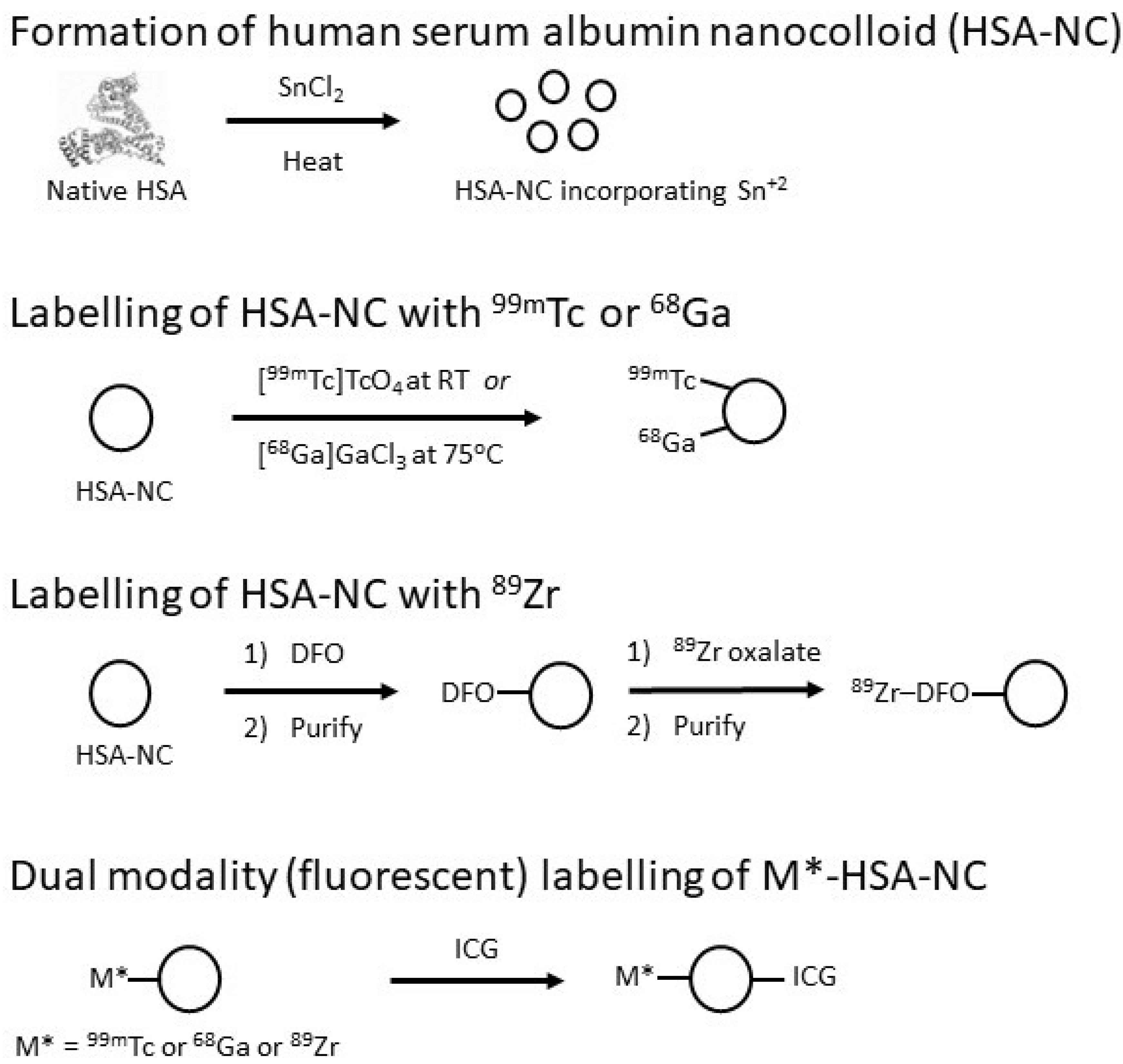 Molecules 27 08596 g001