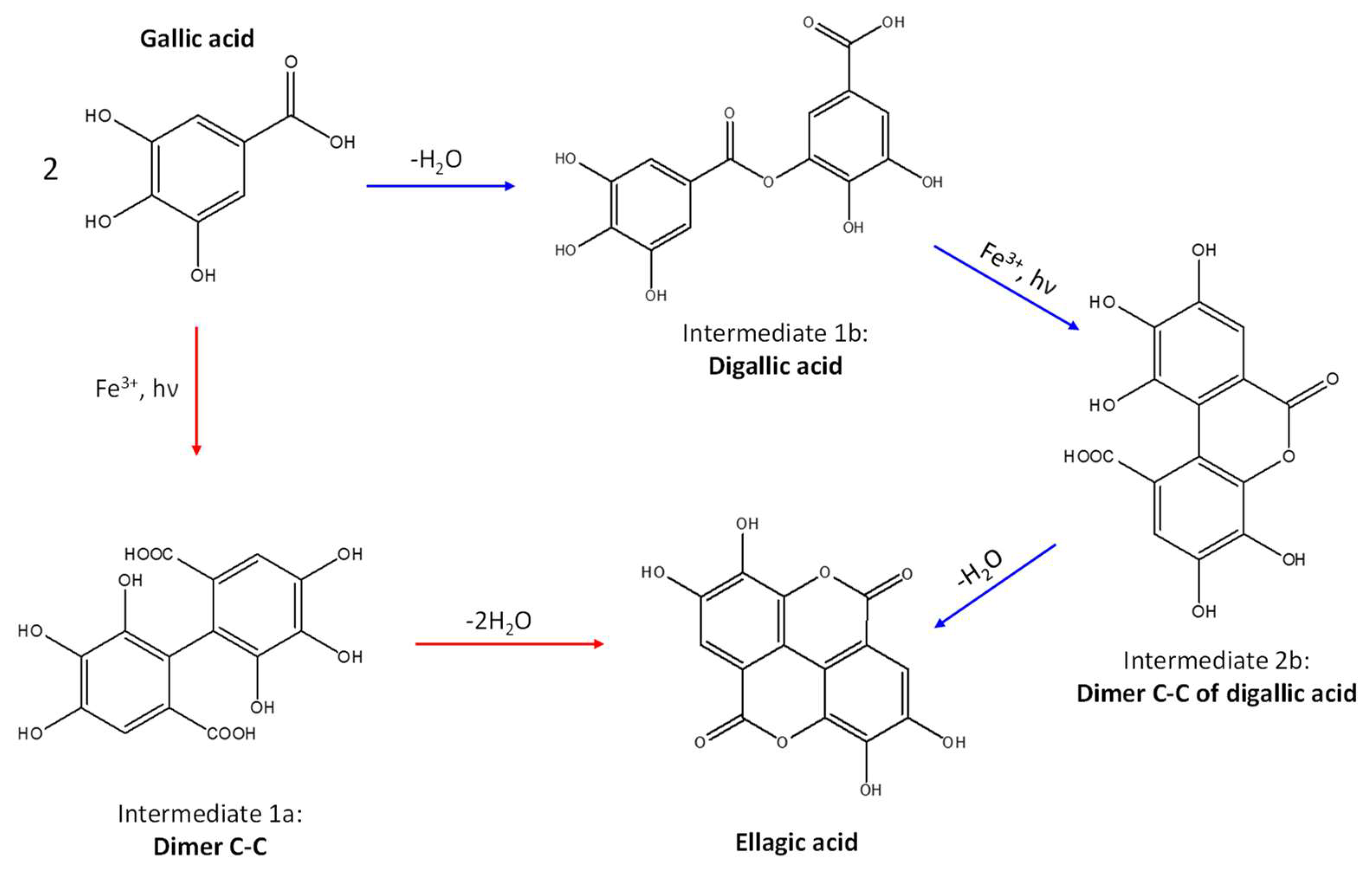 Molecules 27 08603 g004 Molecules 27 08603 g004