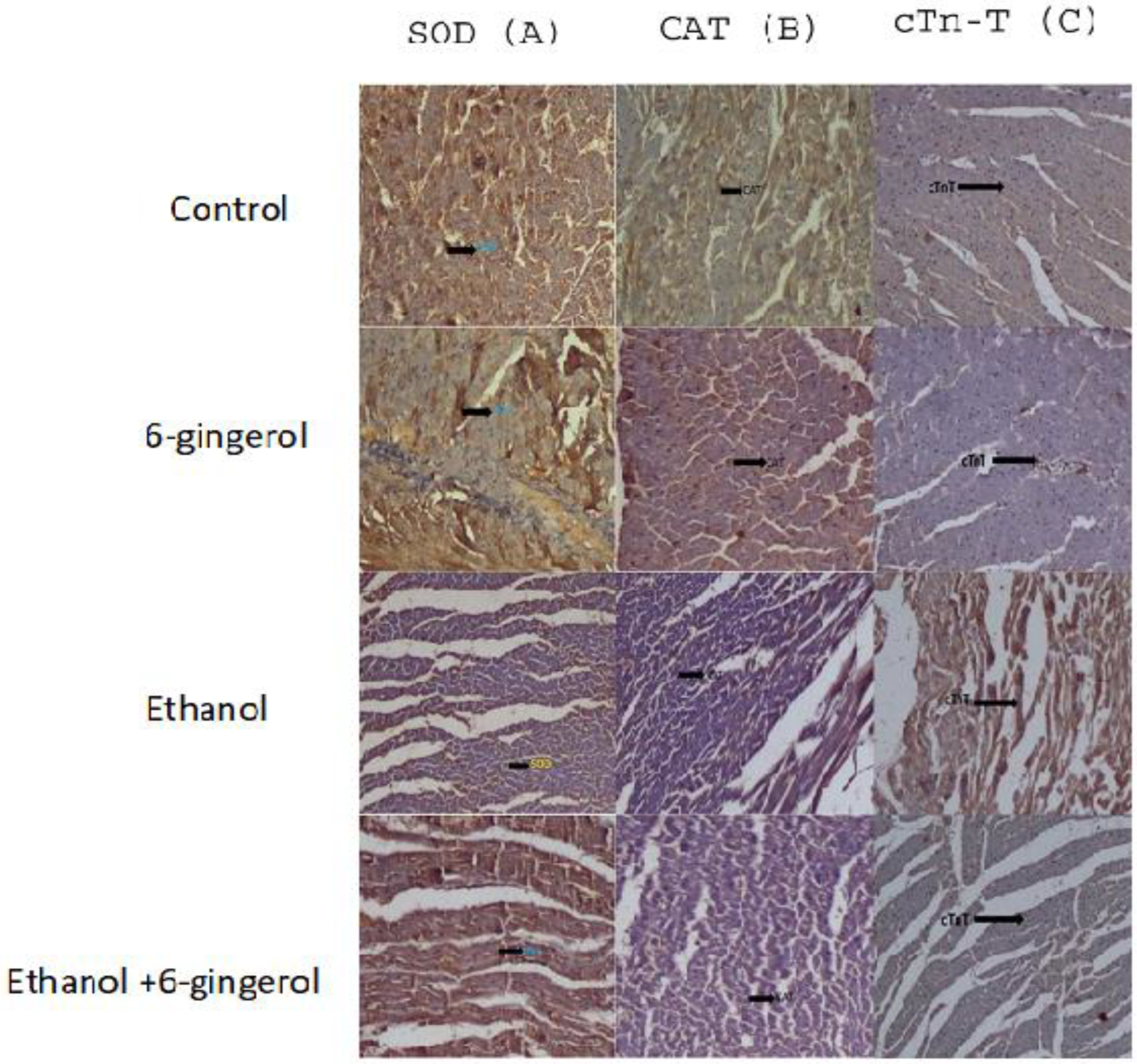 Molecules 27 08606 g006 Molecules 27 08606 g006