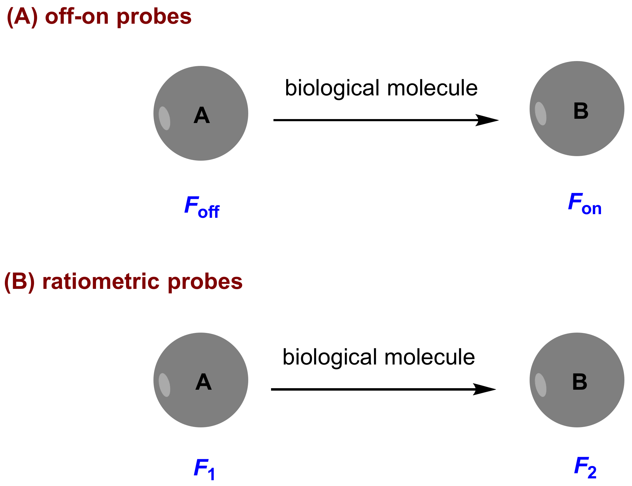Molecules 27 08628 g001