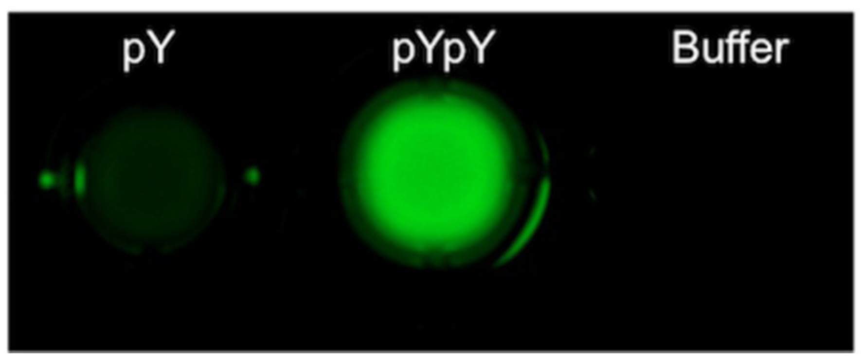 Molecules 27 08628 g006