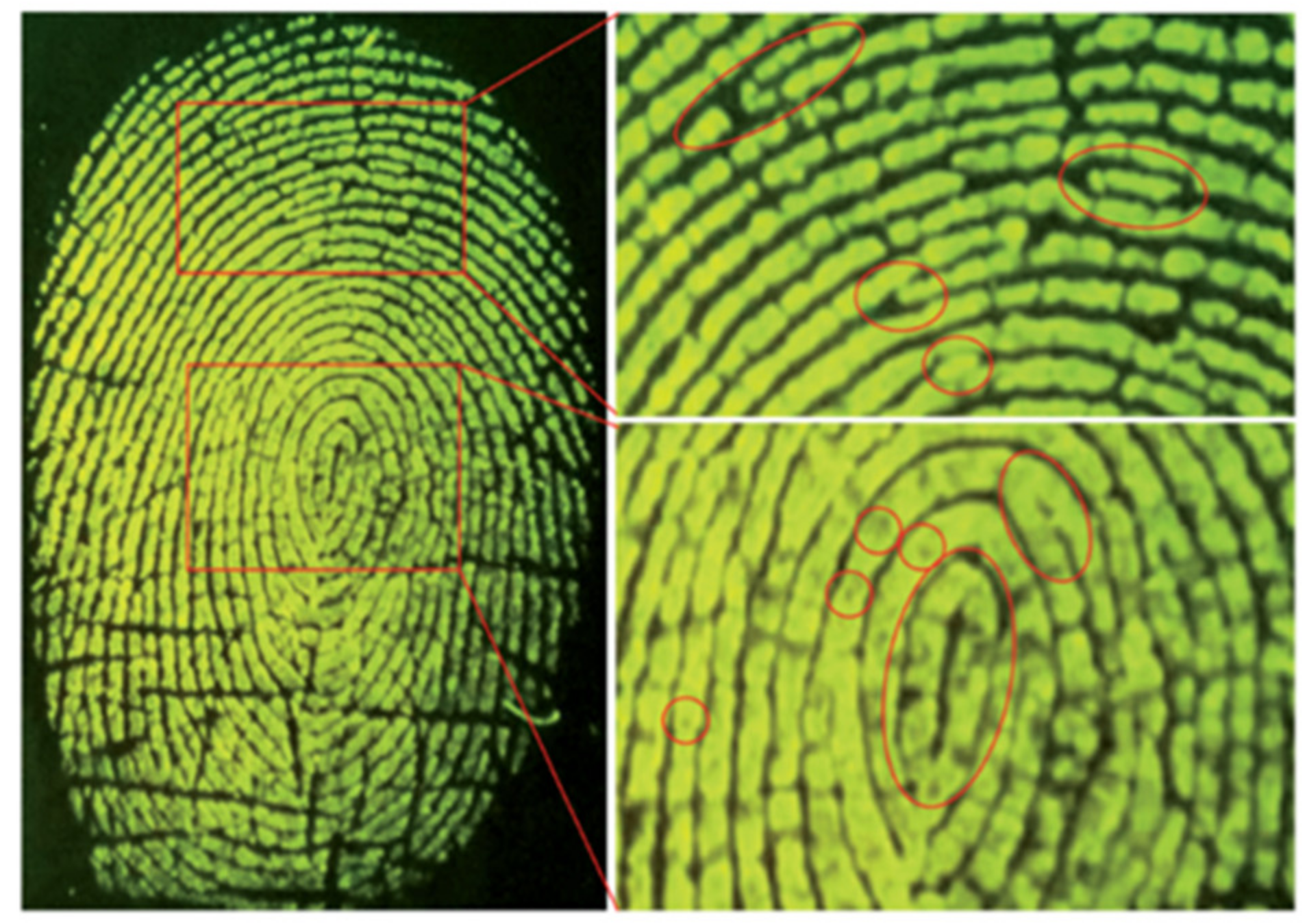 Molecules 27 08628 g022