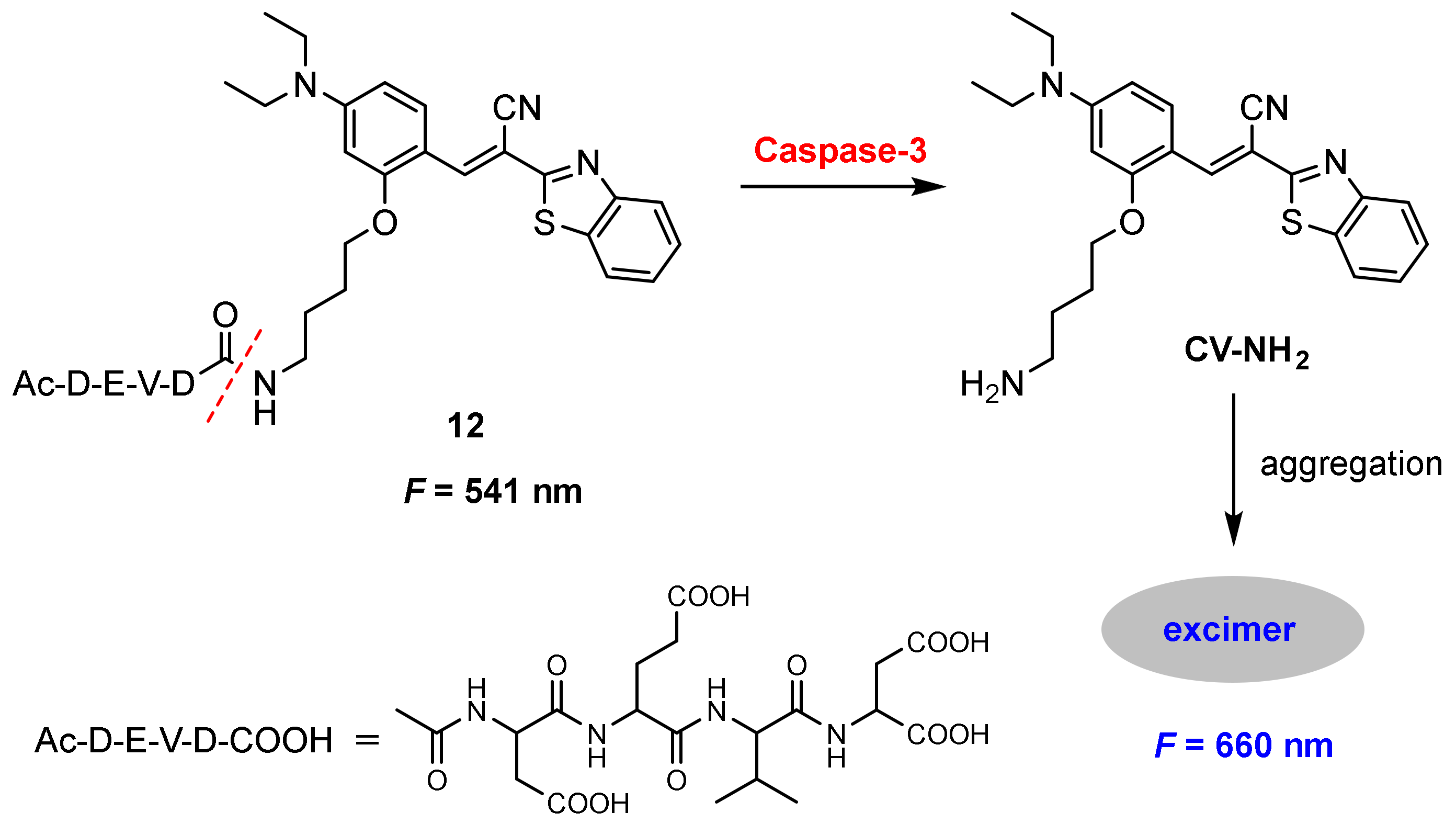 Molecules 27 08628 g034
