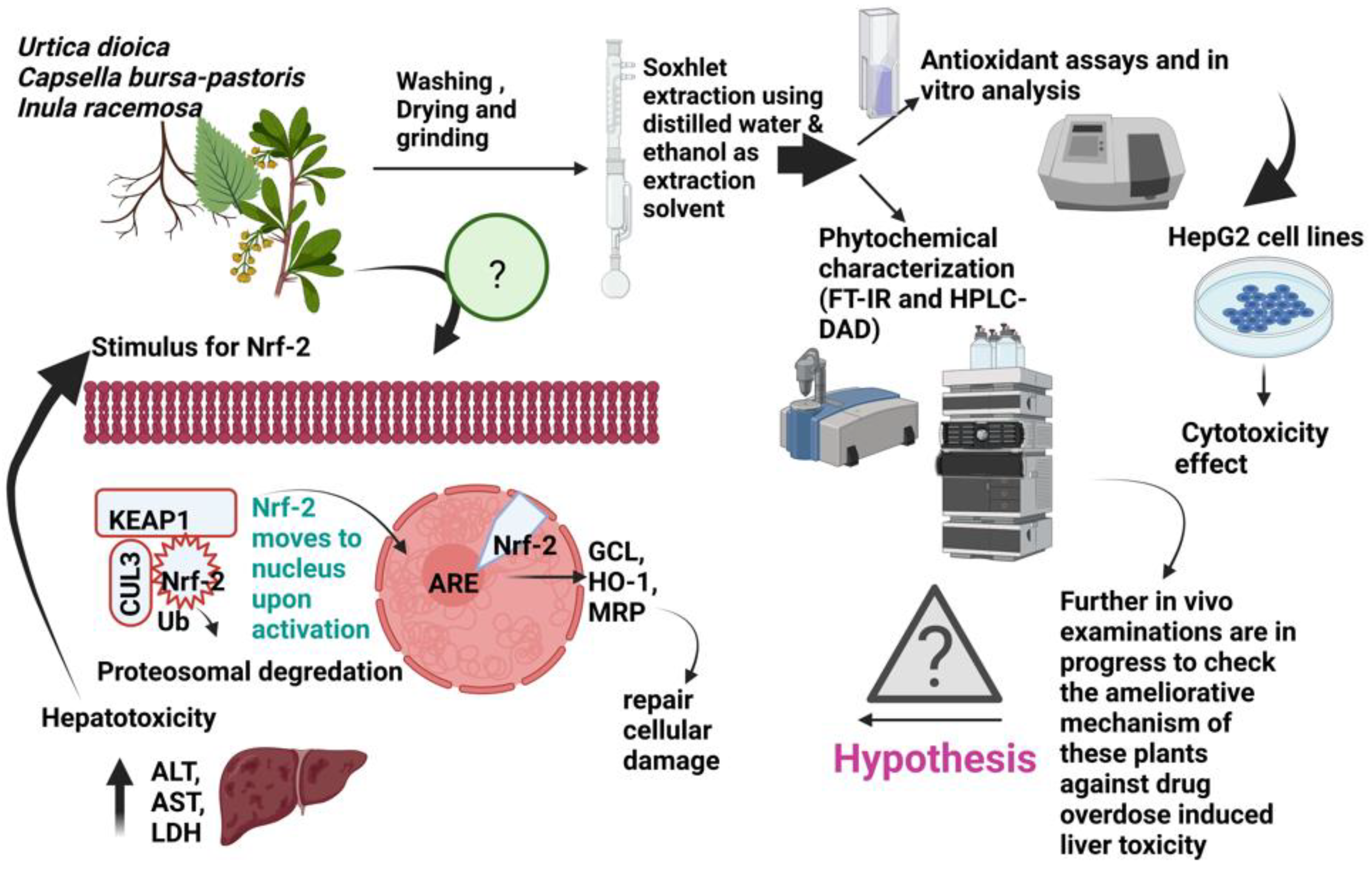 Molecules 27 08629 g001 Molecules 27 08629 g001
