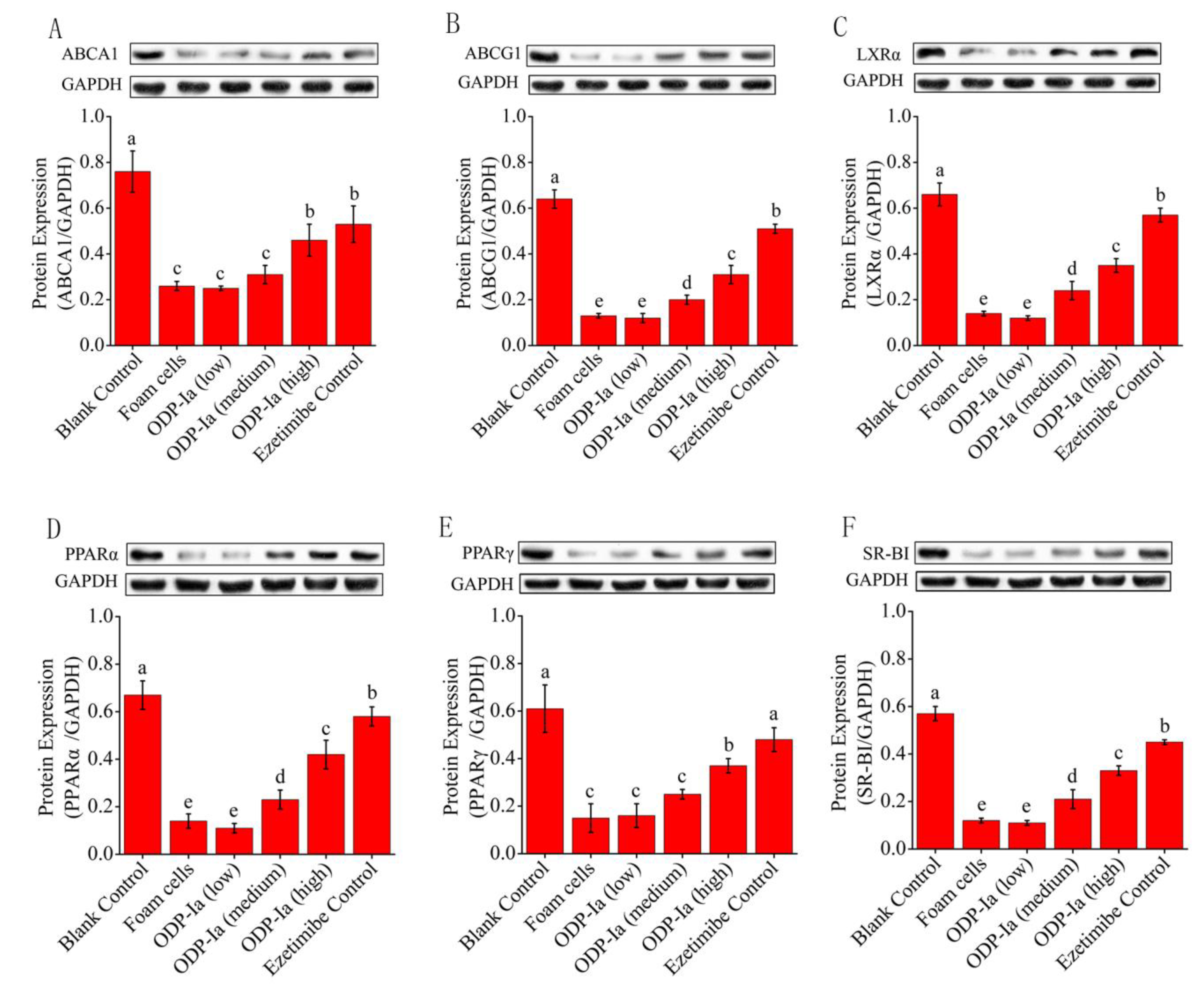 Molecules 27 08639 g006 Molecules 27 08639 g006