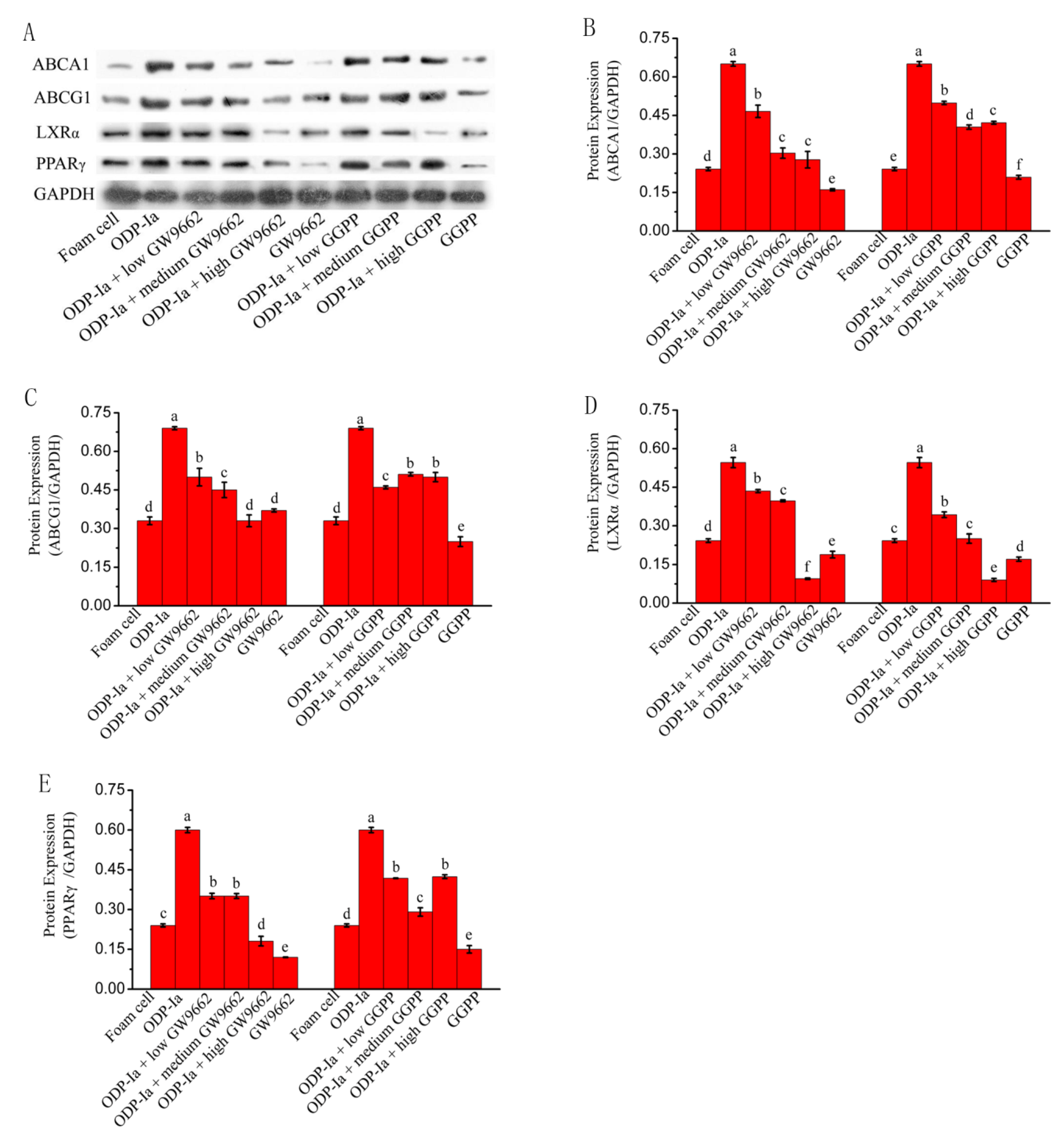 Molecules 27 08639 g010 Molecules 27 08639 g010