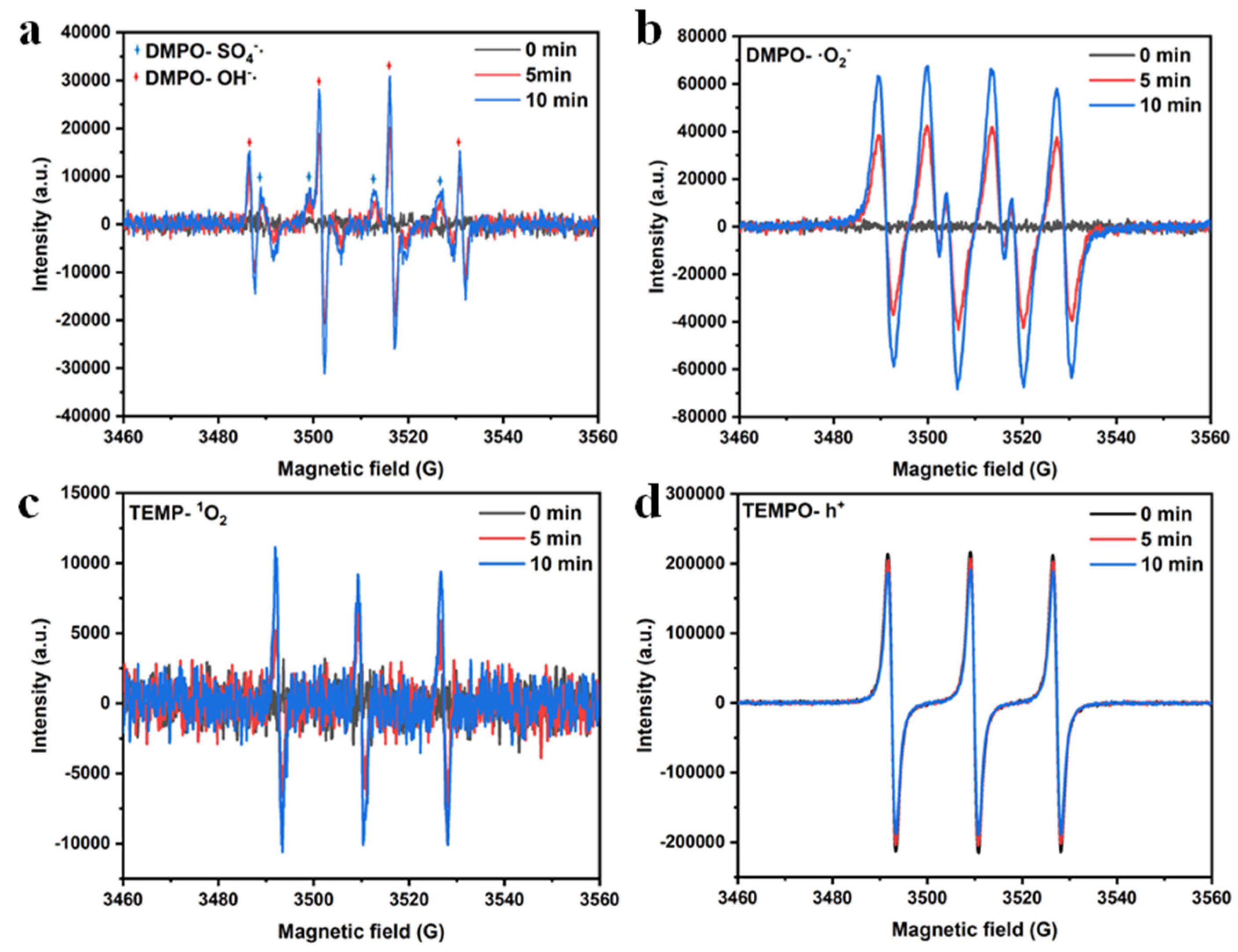 Molecules 27 08642 g010