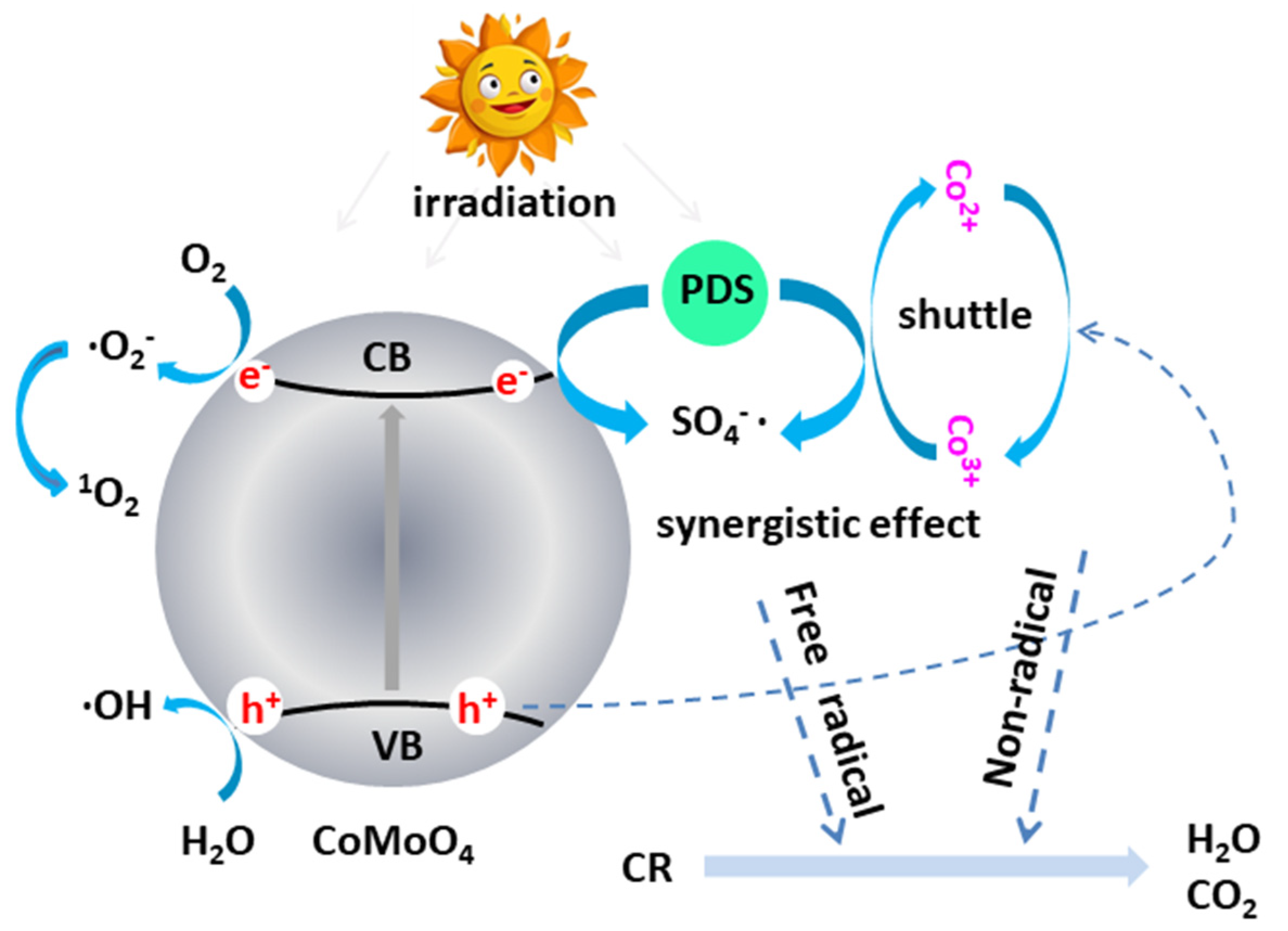 Molecules 27 08642 g011