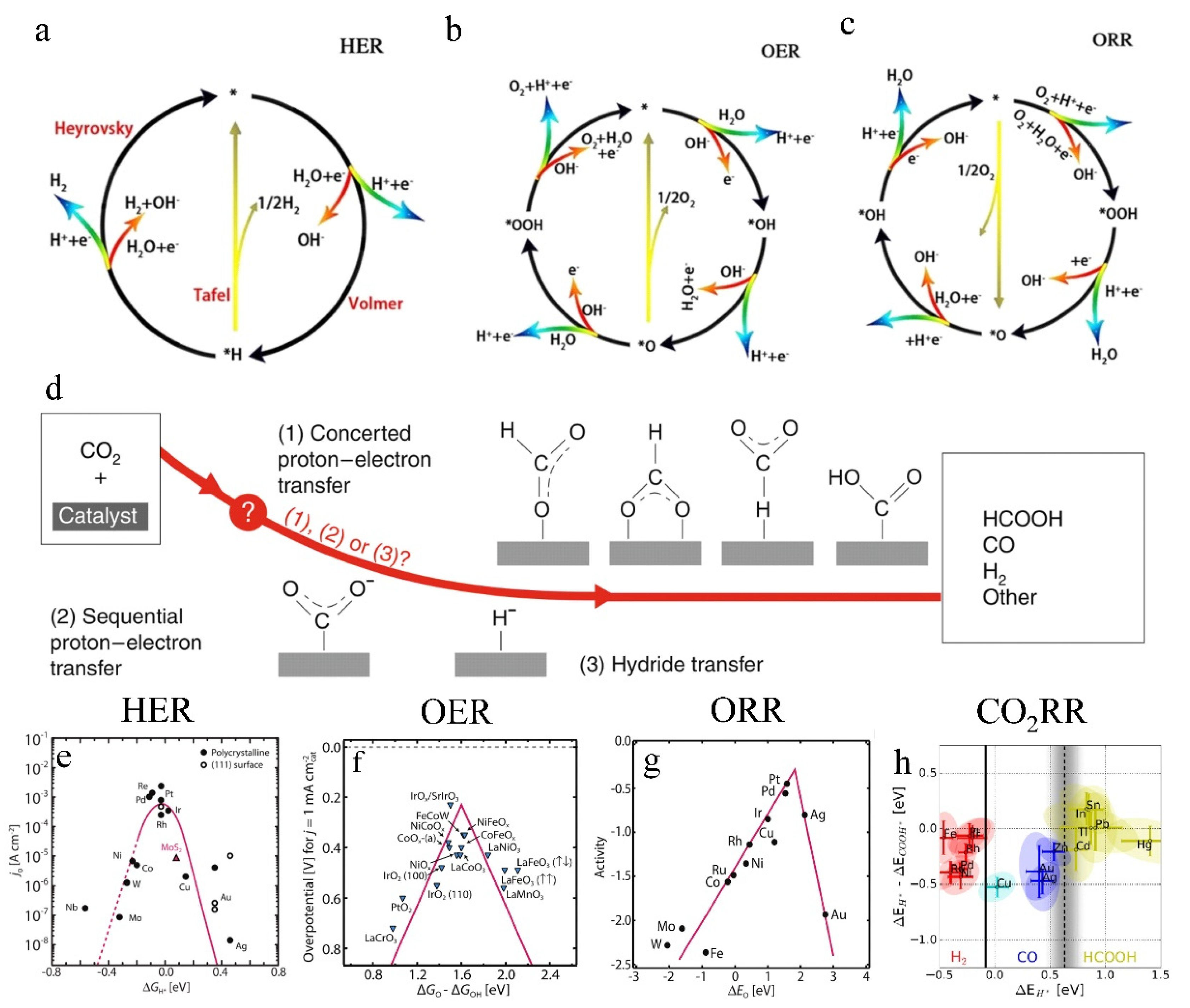 Molecules 27 08644 g002