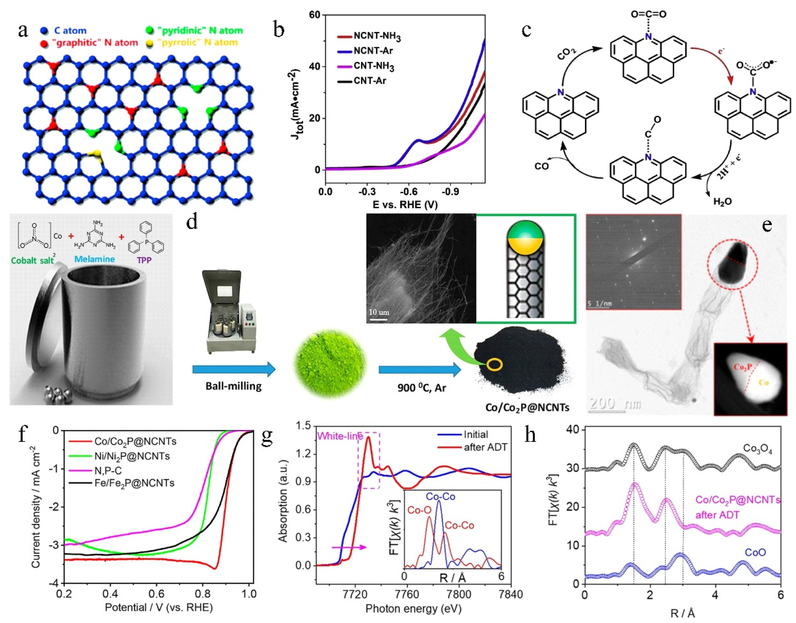 Molecules 27 08644 g007