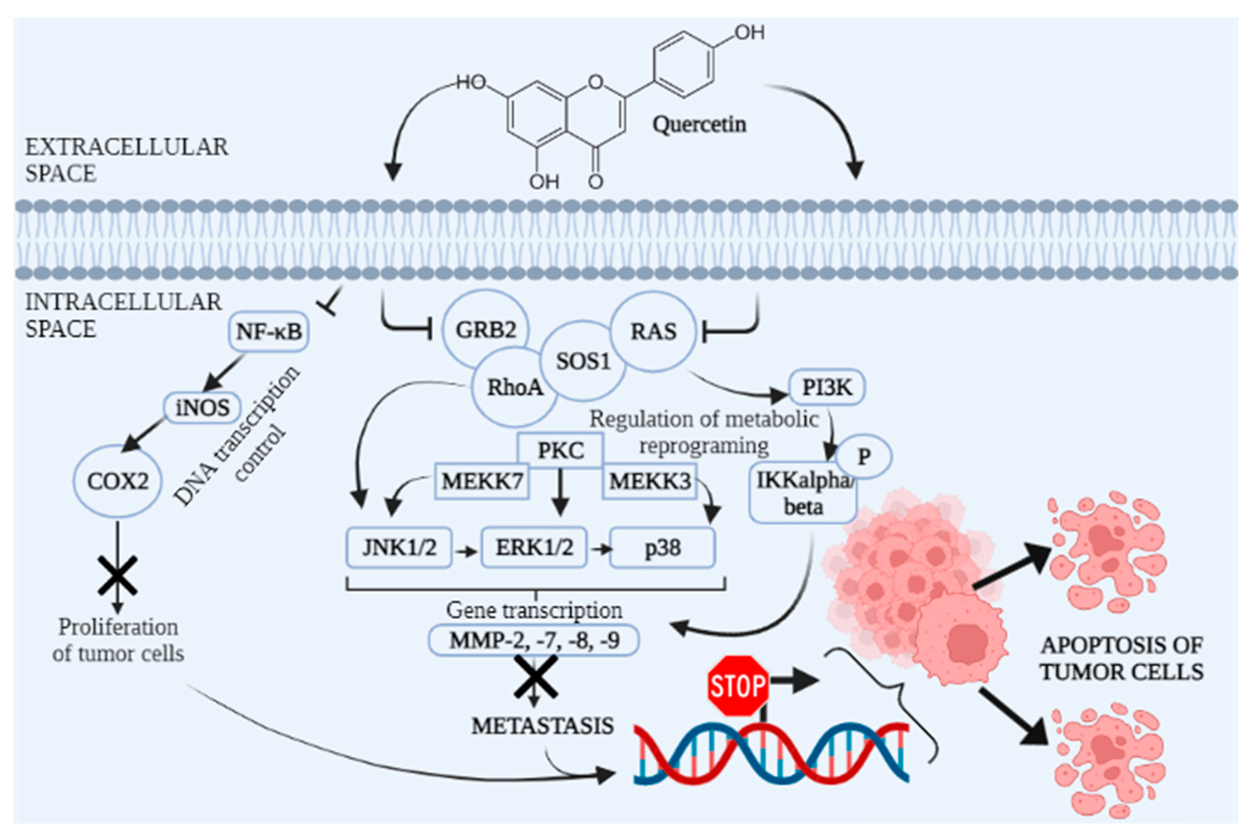 Molecules 27 08655 g003 Molecules 27 08655 g003
