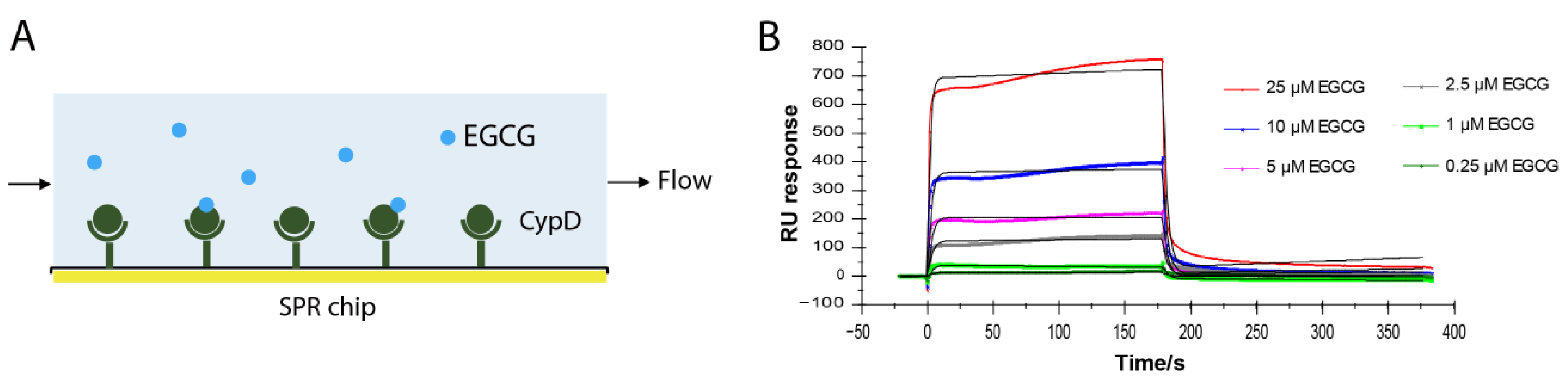 Molecules 27 08661 g001 Molecules 27 08661 g001