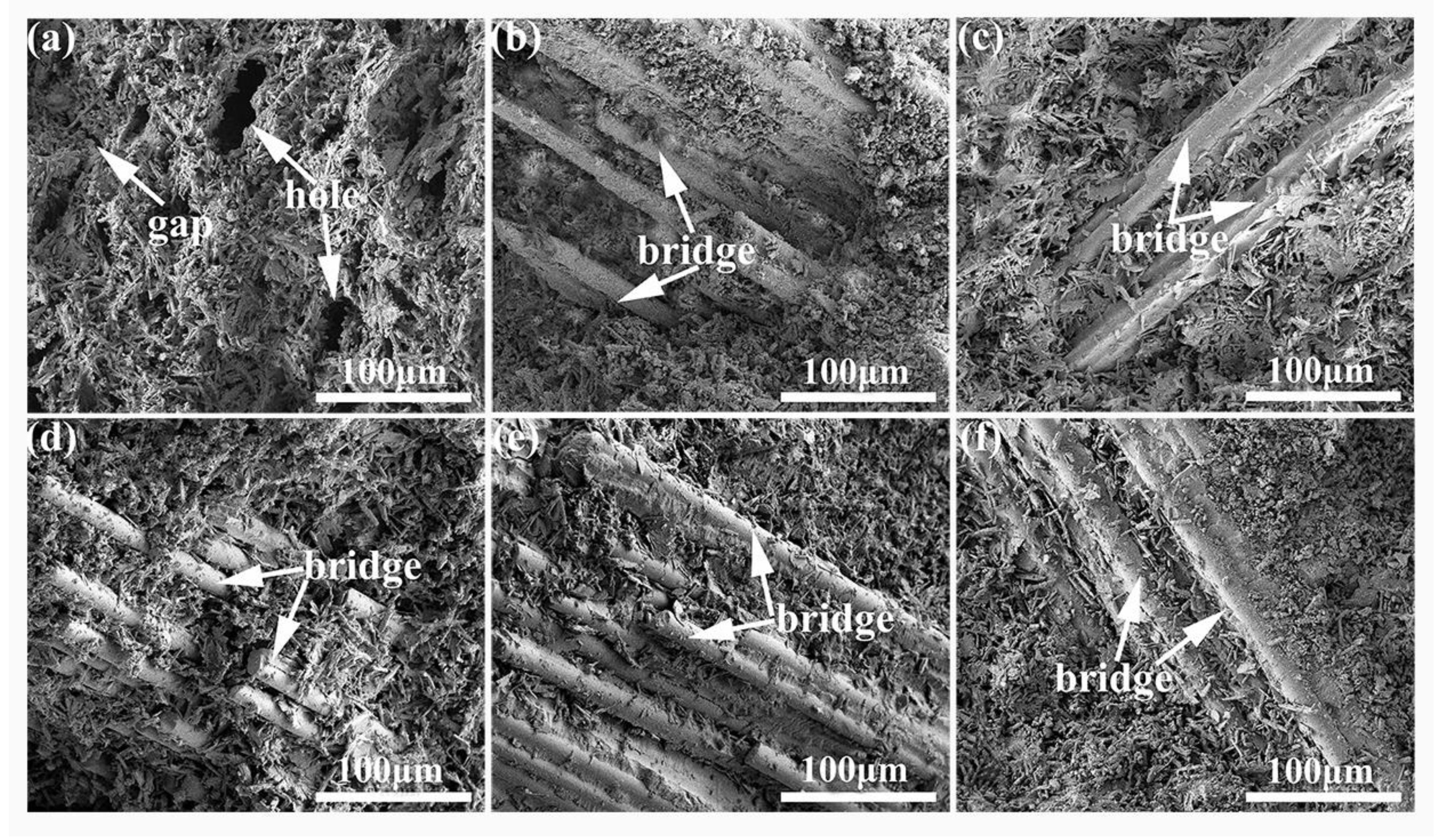 Molecules 27 08668 g009 Molecules 27 08668 g009