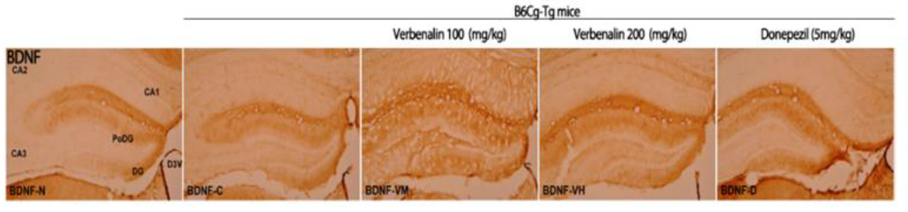 Molecules 27 08678 g004 Molecules 27 08678 g004