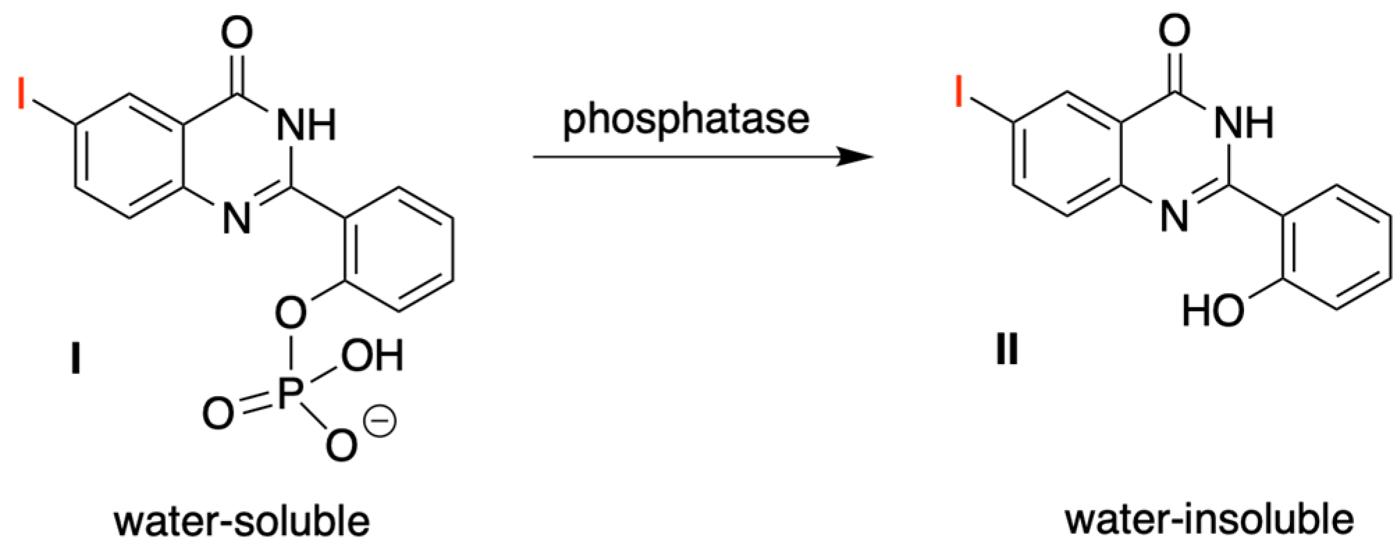 Molecules 27 08682 g001