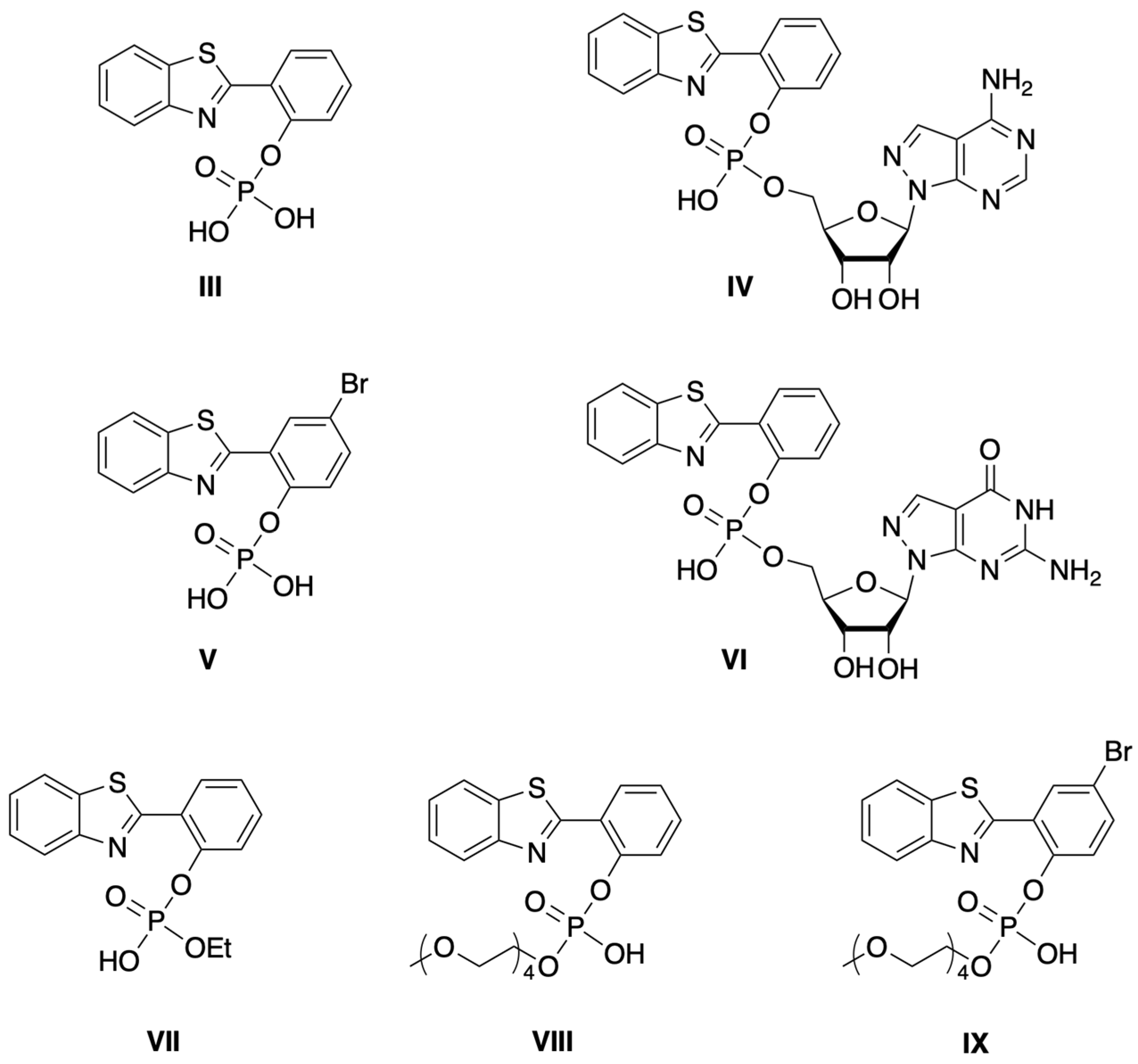 Molecules 27 08682 g003