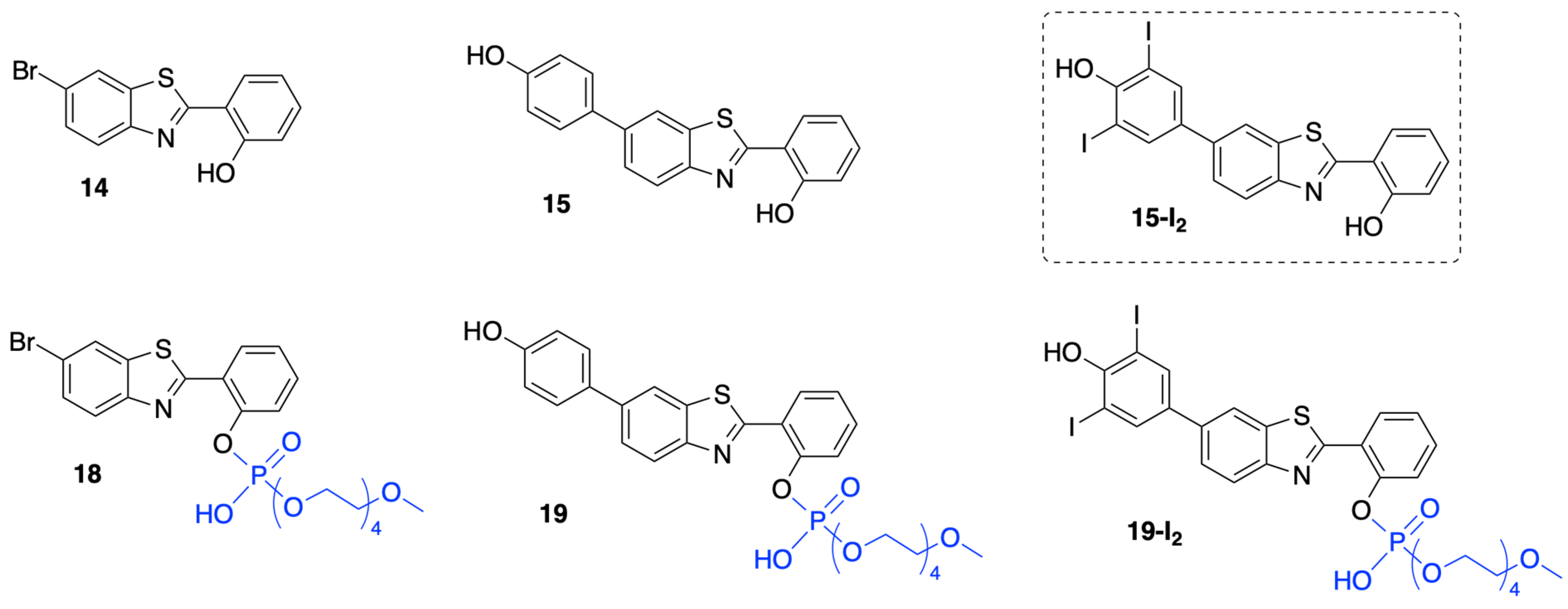 Molecules 27 08682 g005