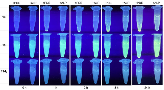 Molecules 27 08682 g0a3