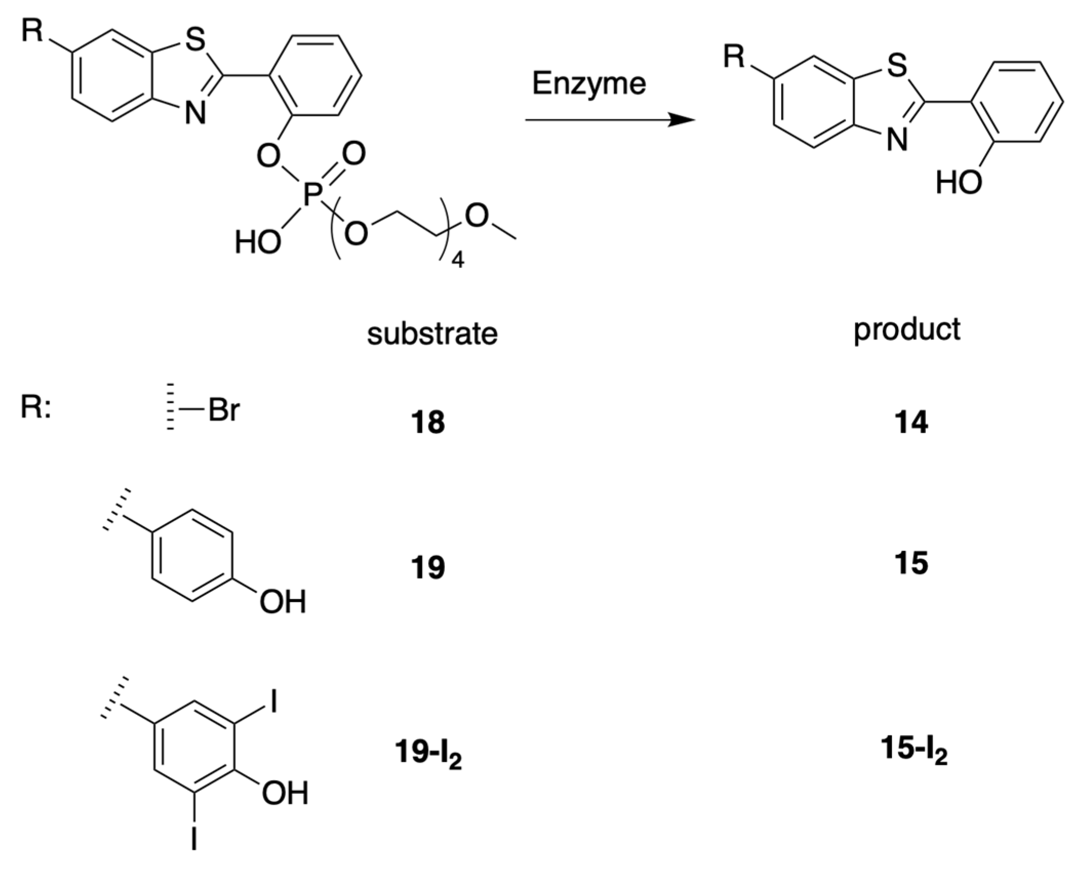 Molecules 27 08682 sch007