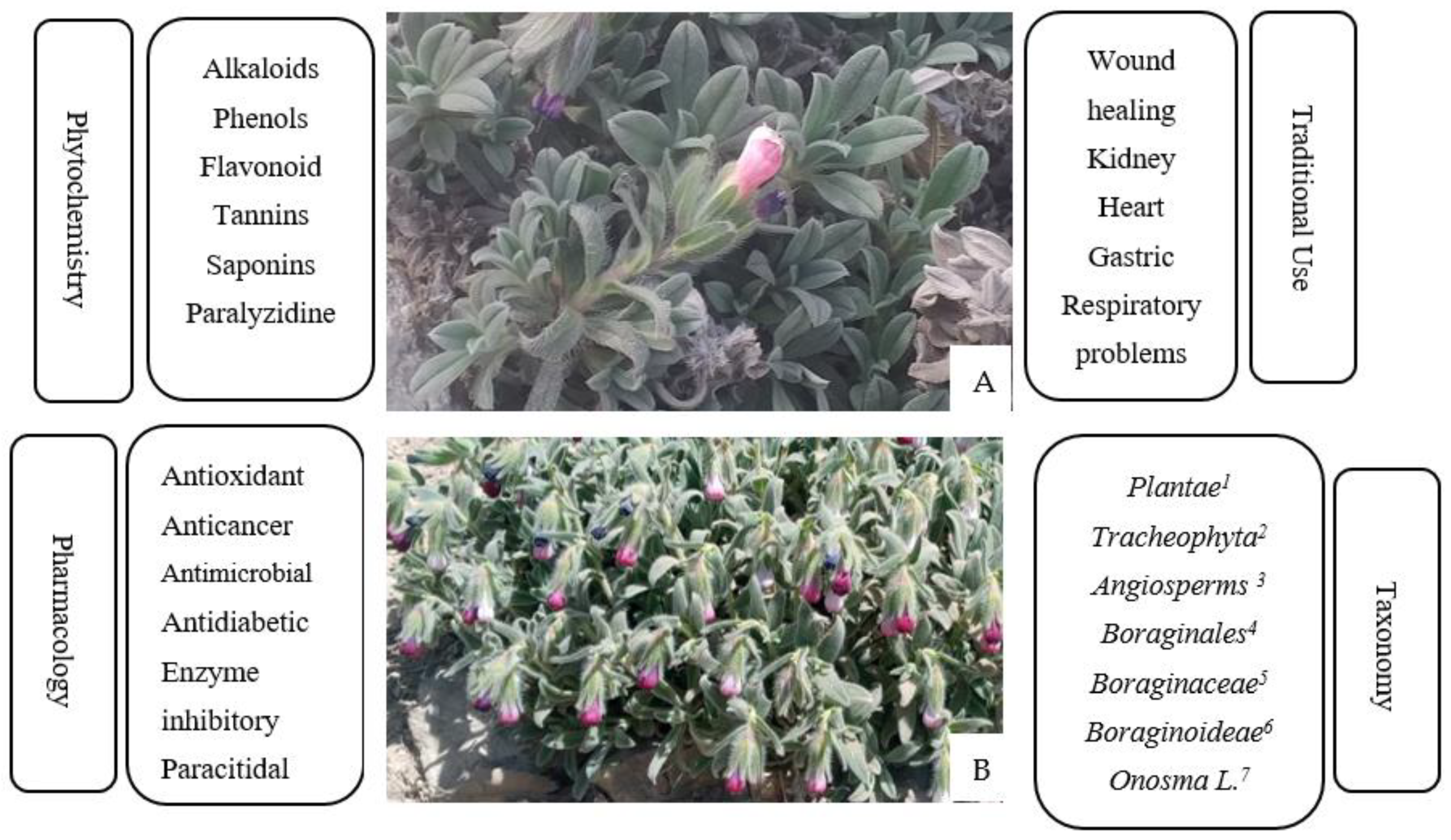 Molecules 27 08687 g002