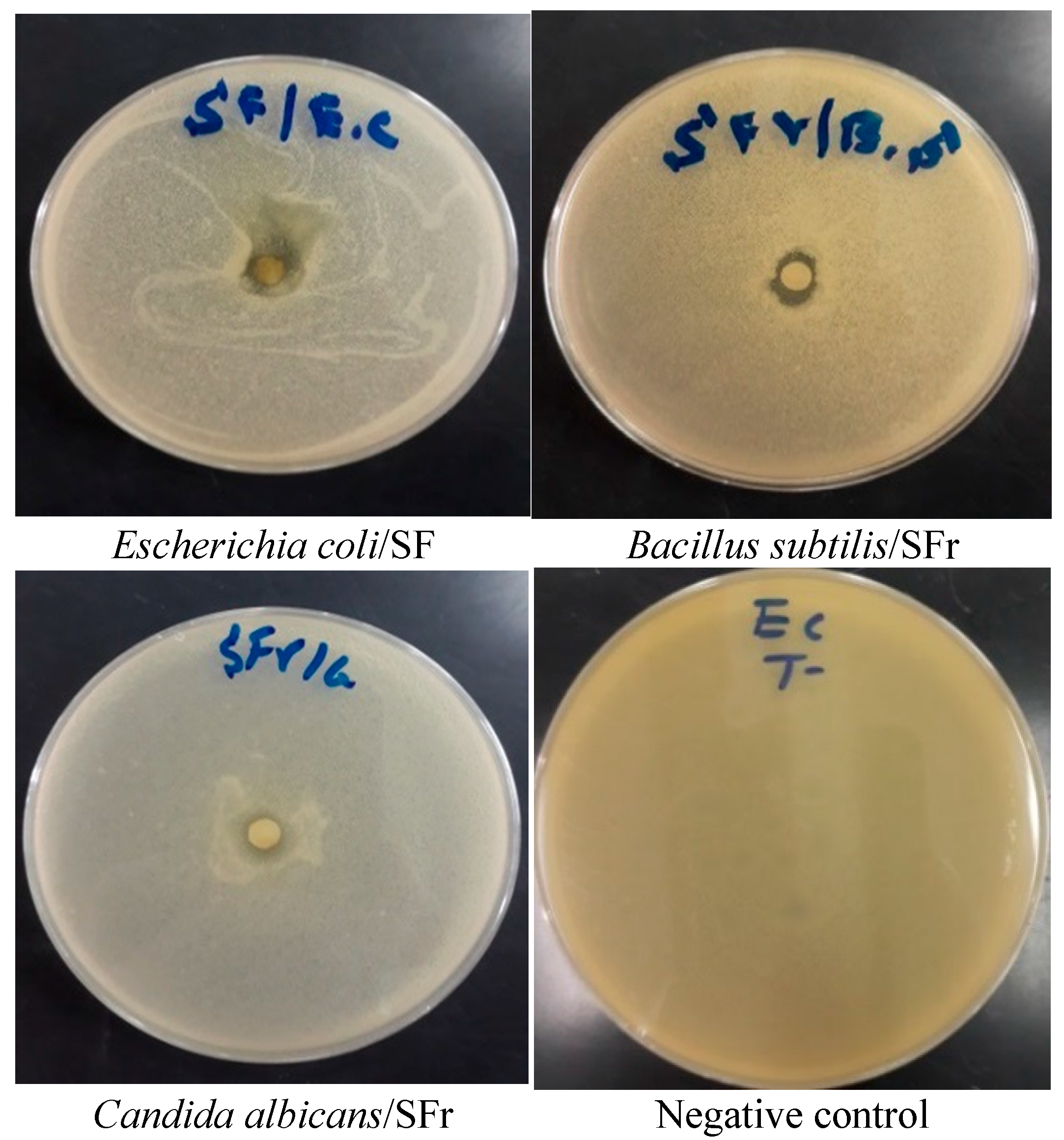 Molecules 27 08688 g004 Molecules 27 08688 g004