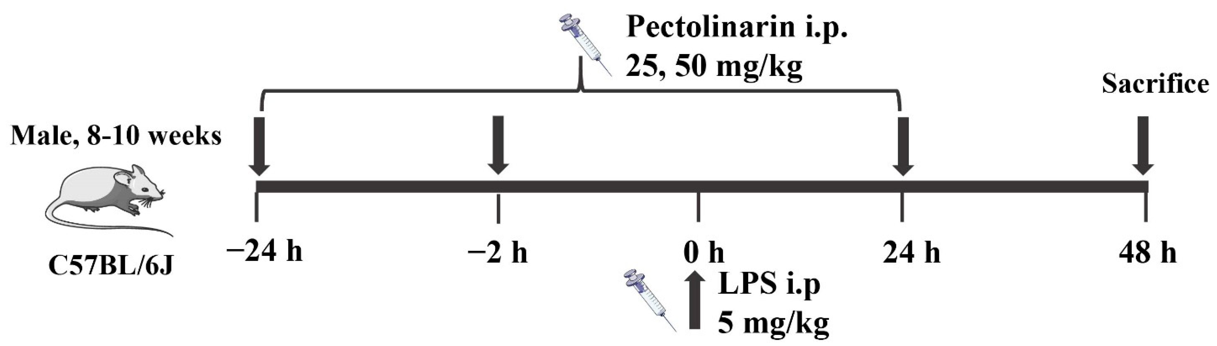 Molecules 27 08695 g011 Molecules 27 08695 g011