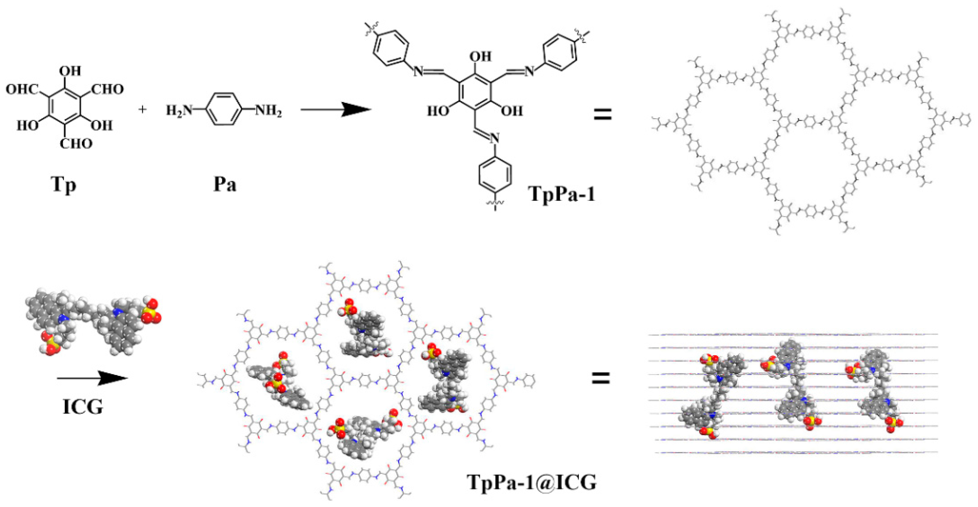 Molecules 27 08704 g006