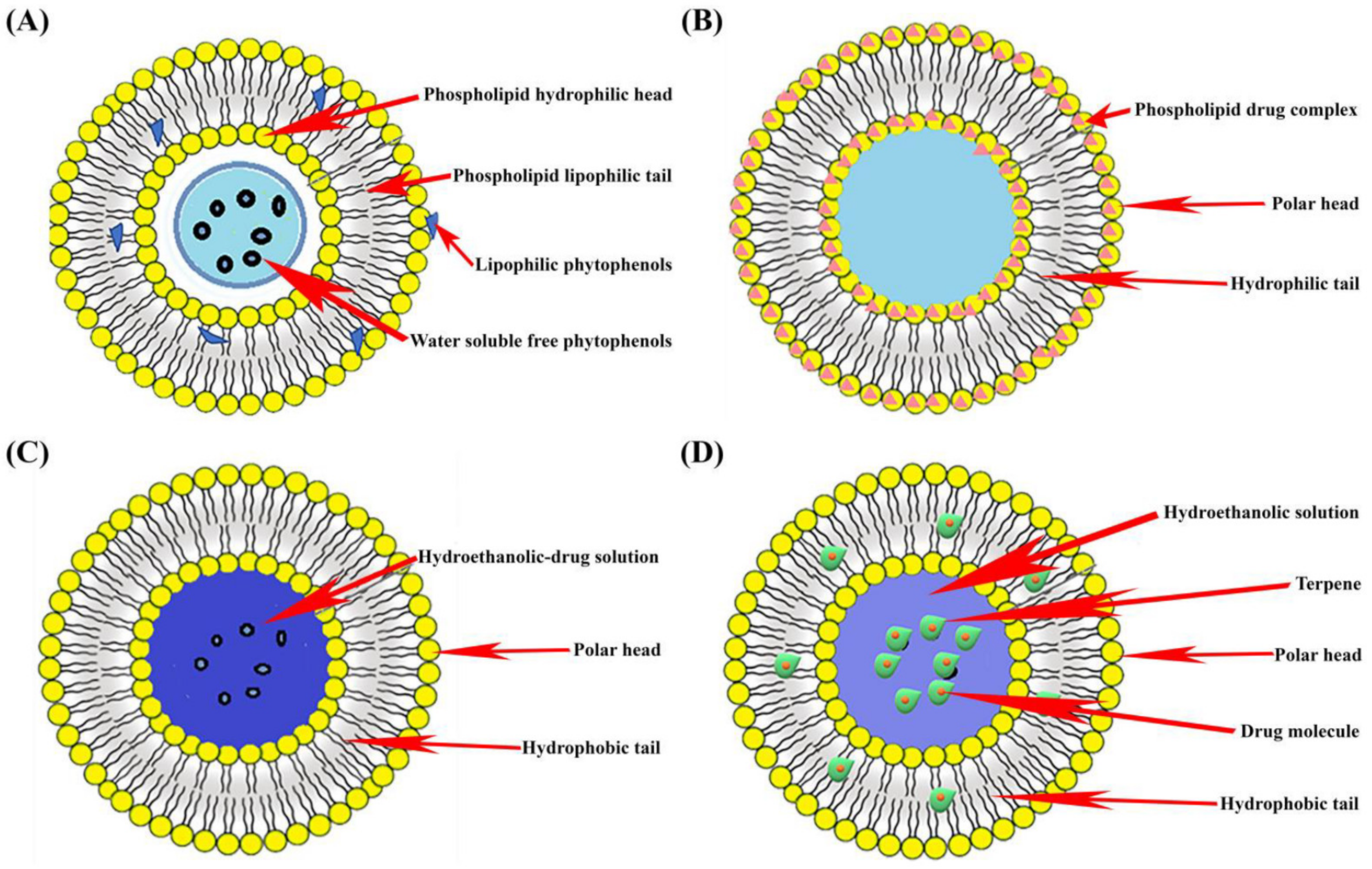 Molecules 27 08706 g001